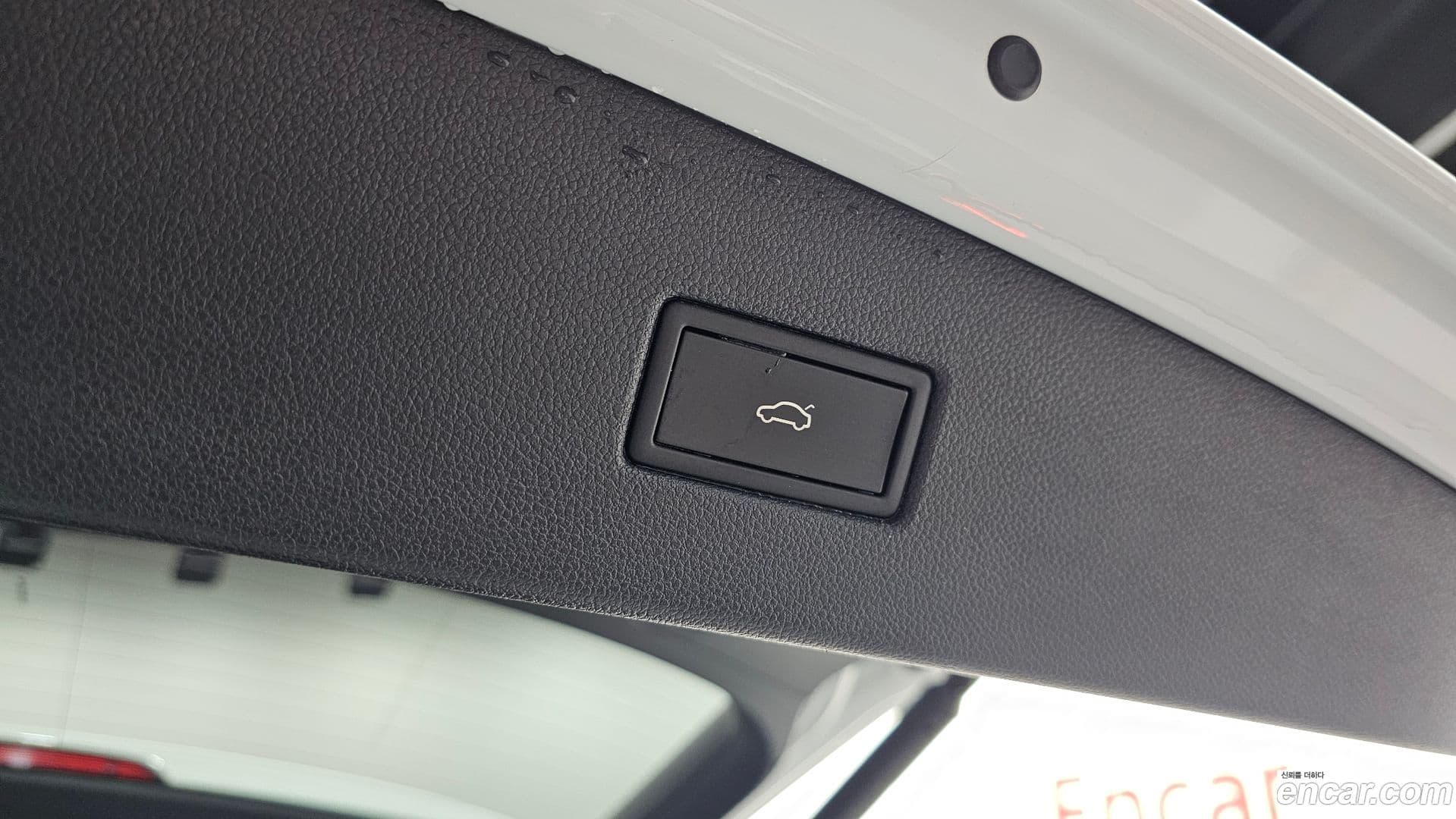 Main__Slider__Photo:Tiguan Volkswagen 2022.8-18