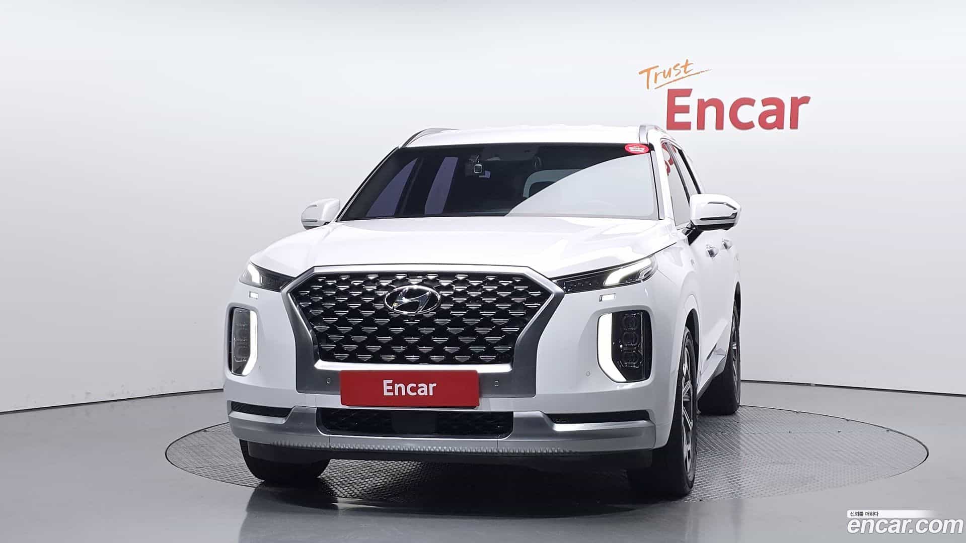 Palisade Hyundai 2020.5-OUTER-003