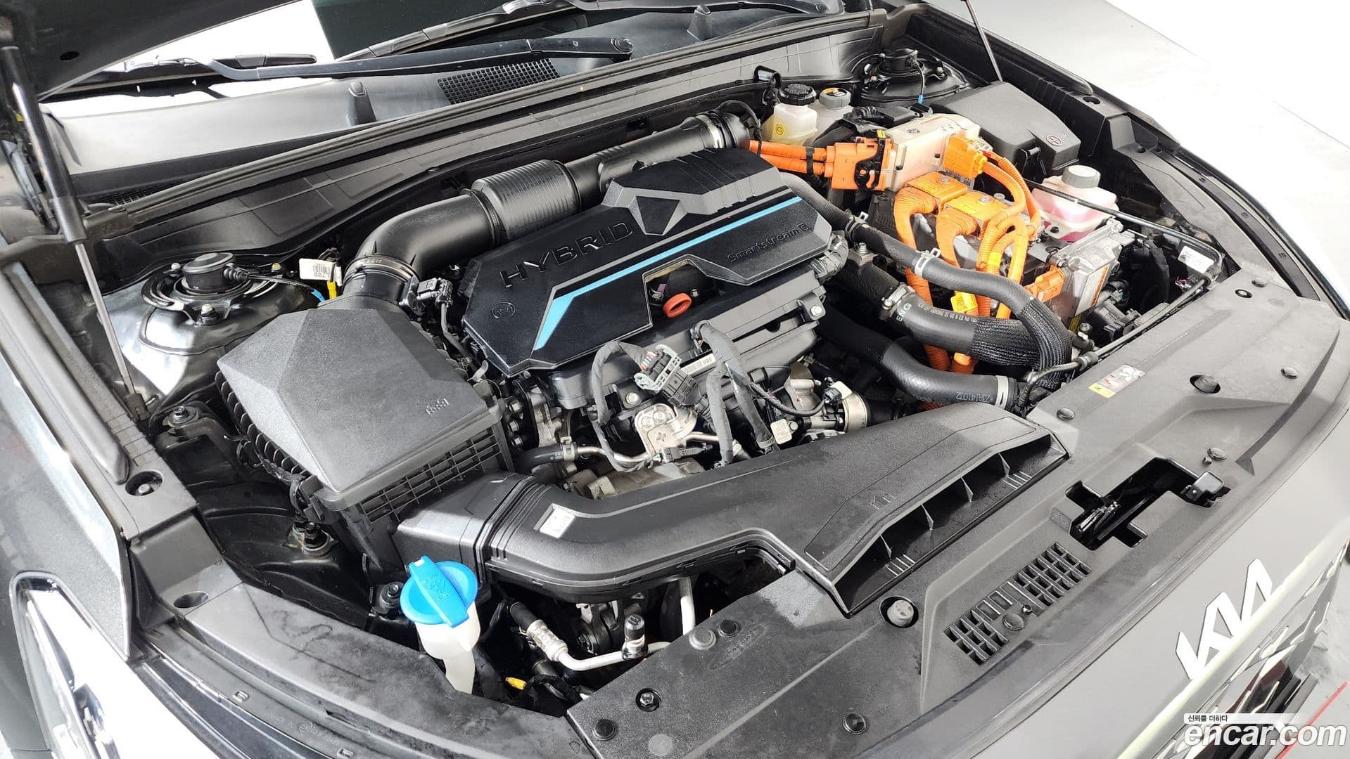 Main__Slider__Photo:K8 Kia 2023.2-5