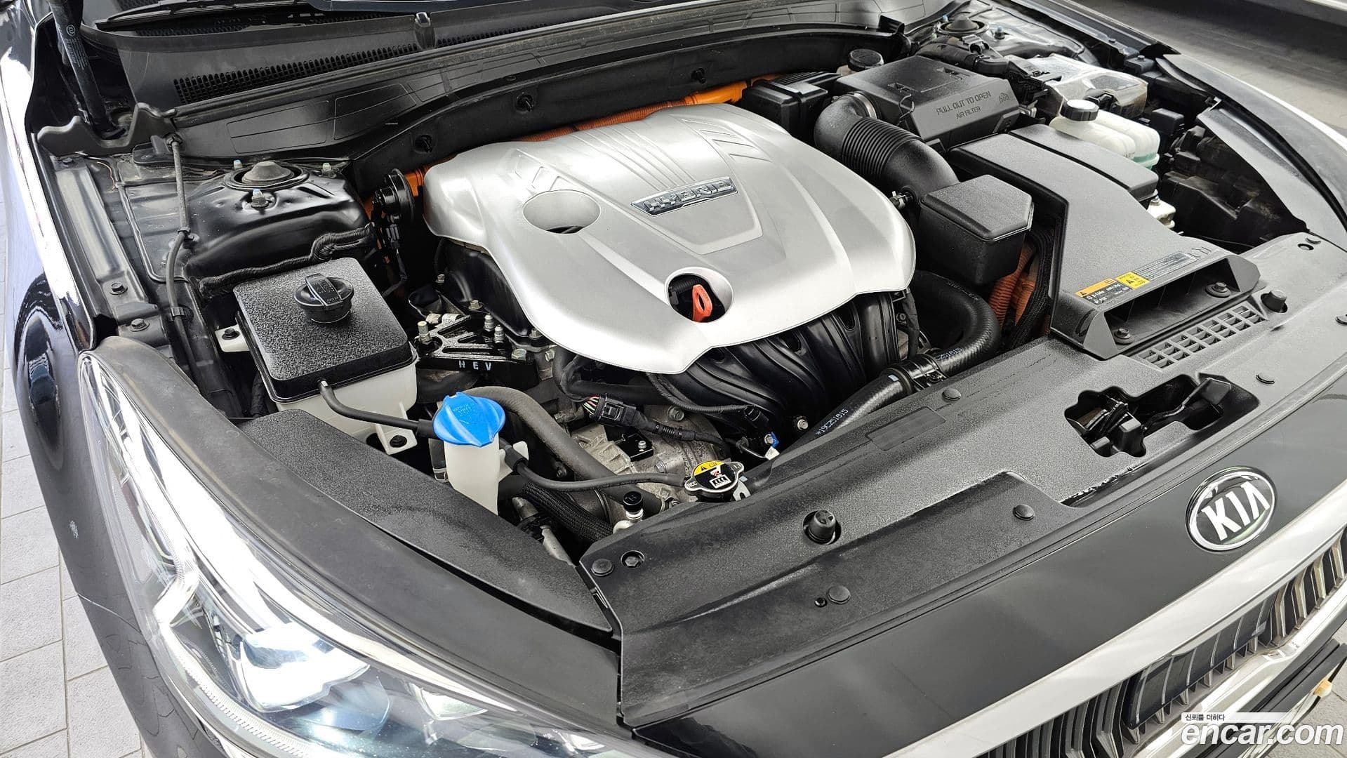 Main__Slider__Photo:K7 Kia 2019.6-5