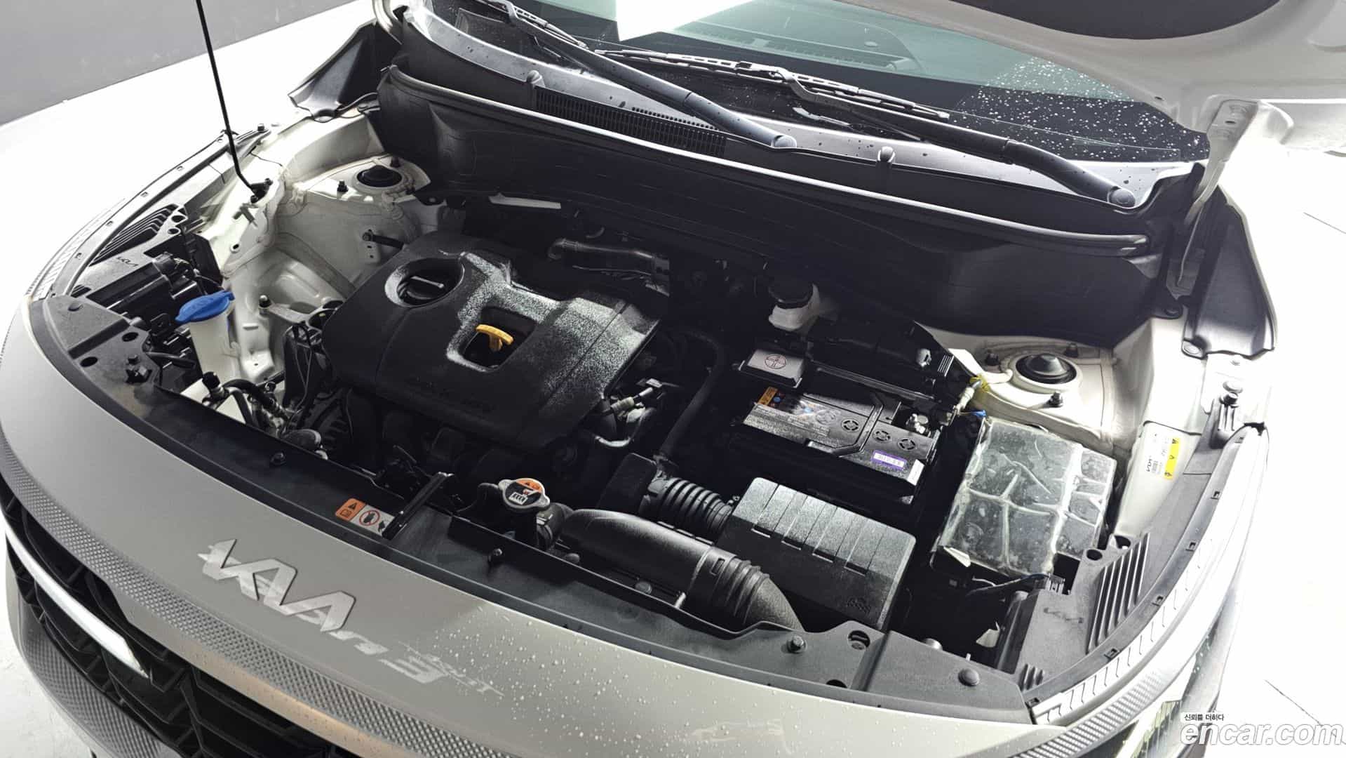 Seltos Kia 2022.8-OUTER-006