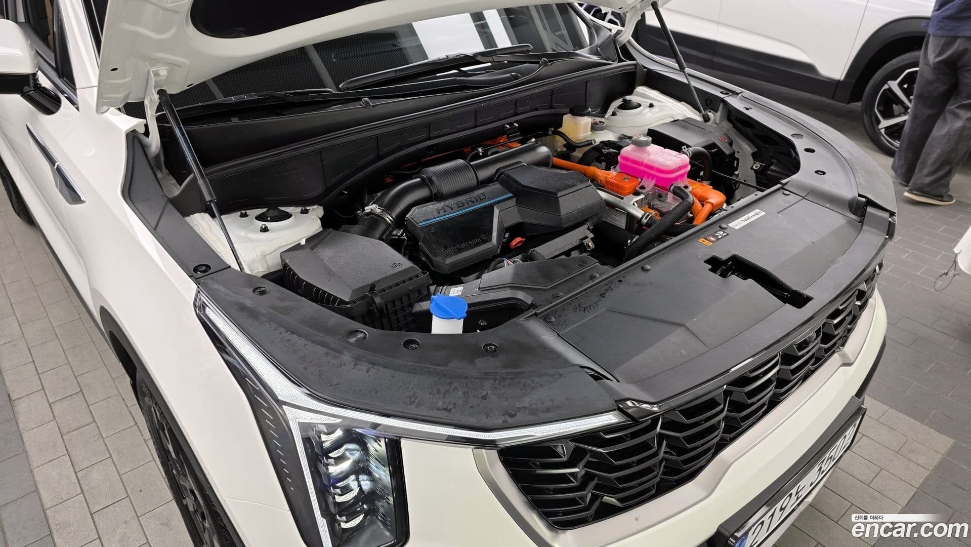 Main__Slider__Photo:Sorento Kia 2025.2-5