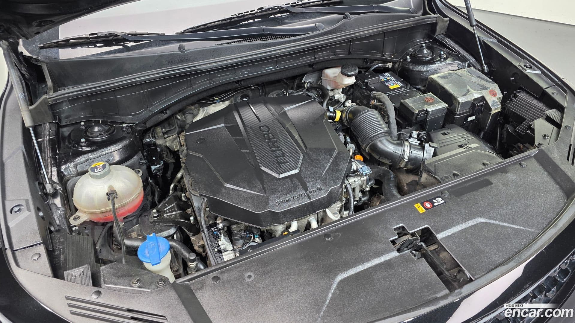 Main__Slider__Photo:Sorento Kia 2021.4-5