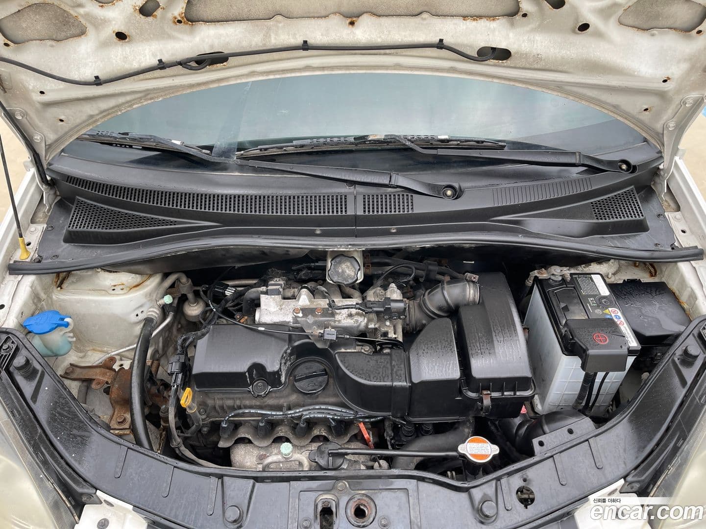 Main__Slider__Photo:morning Kia 2009.11-6