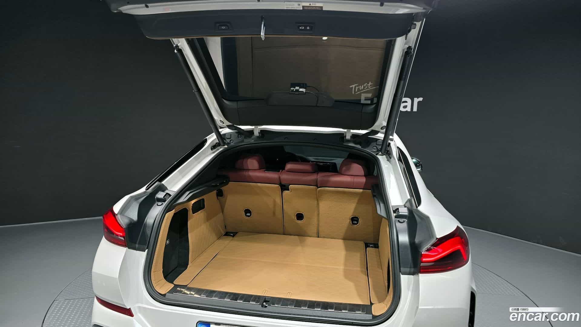 X6 BMW 2021.0-OPTION-024