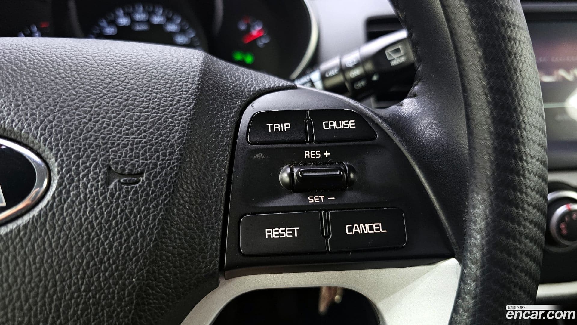 Main__Slider__Photo:morning Kia 2016.11-14