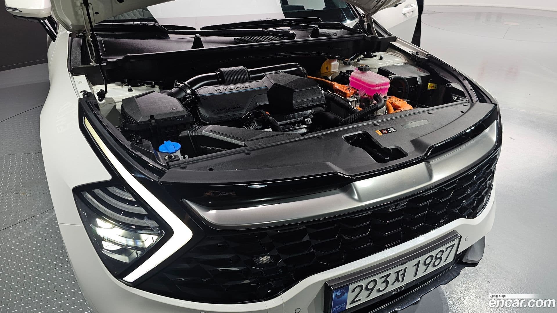 Main__Slider__Photo:Sportage Kia 2023.5-5