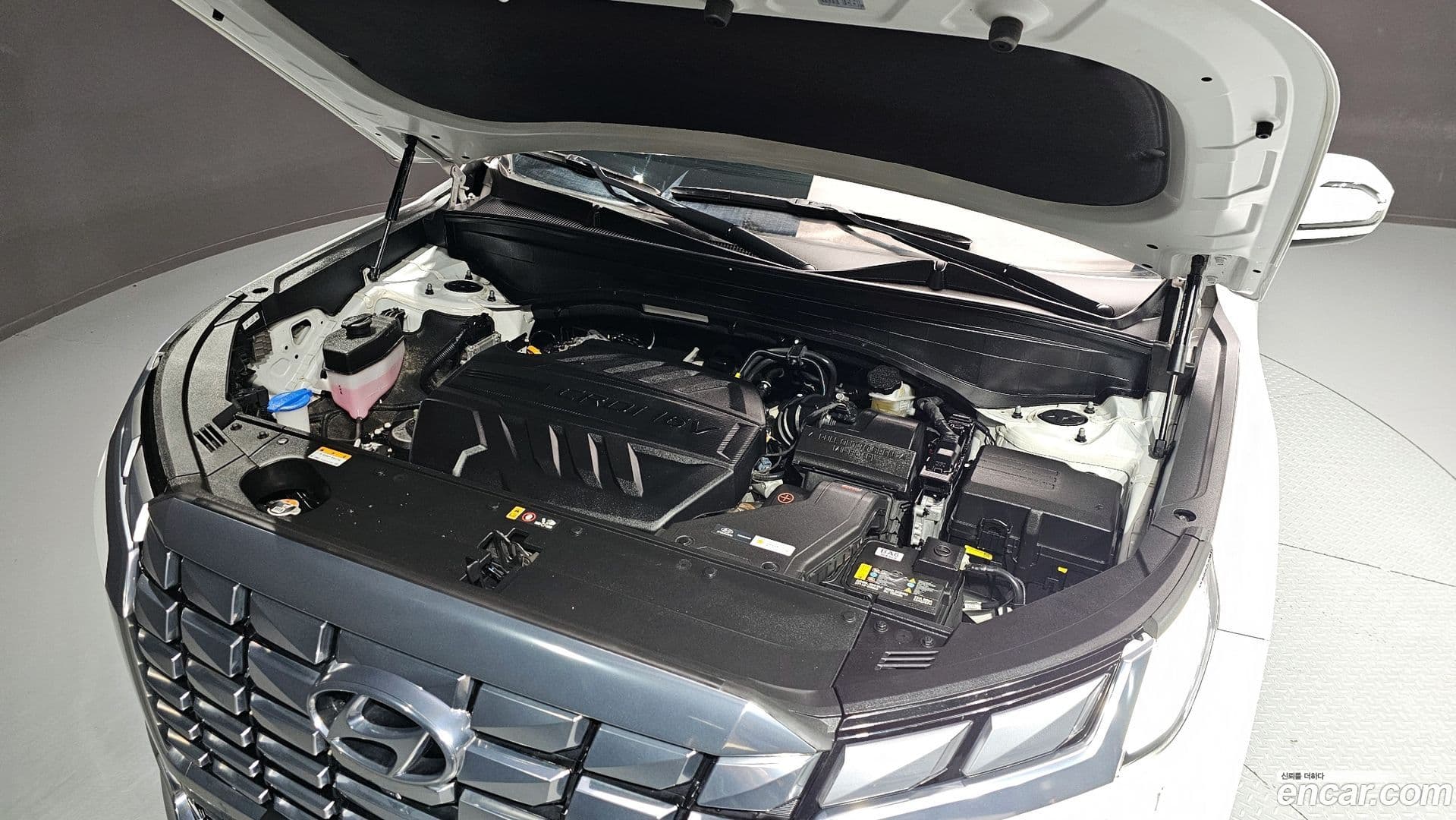 Main__Slider__Photo:Palisade Hyundai 2022.6-19