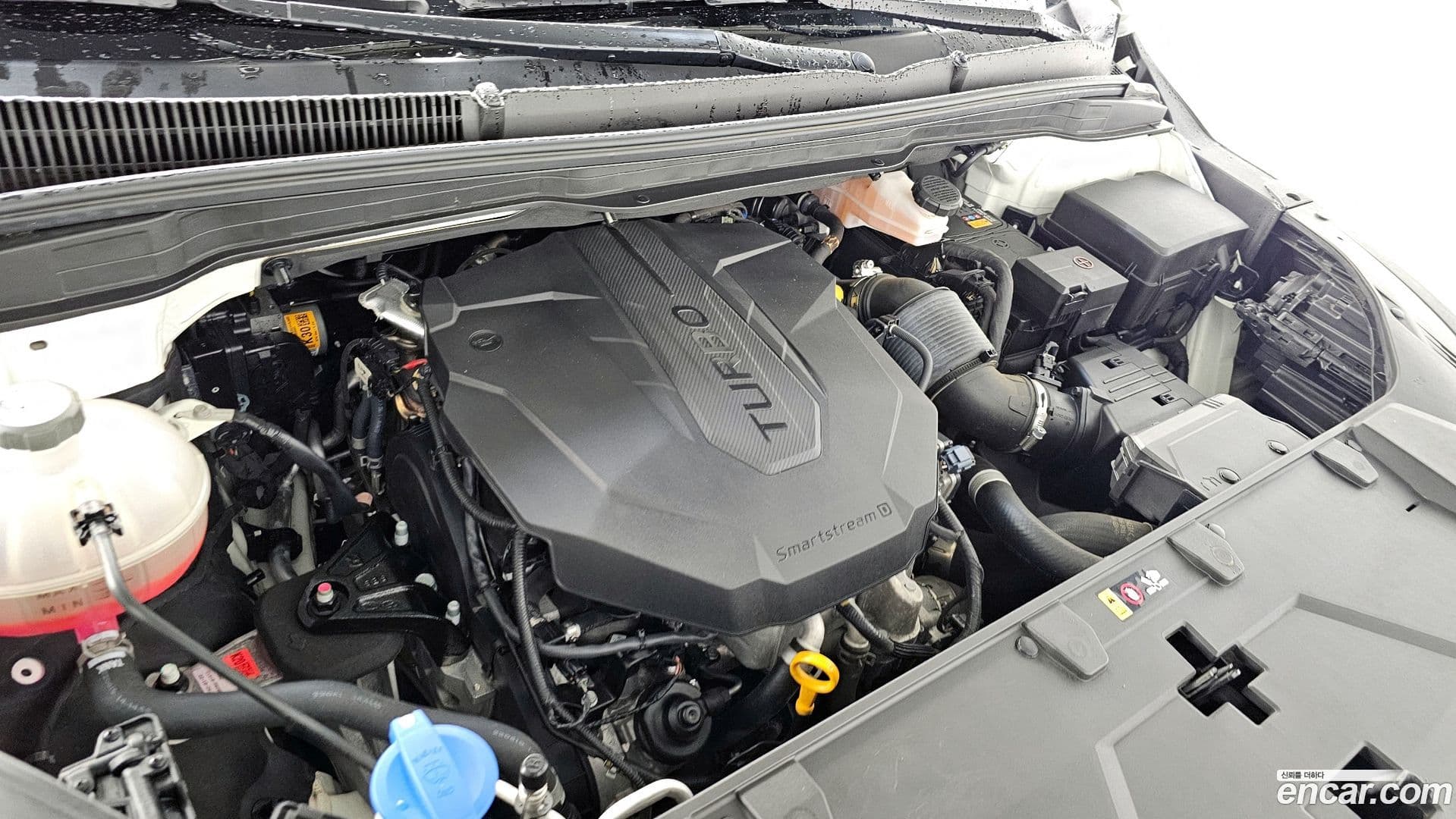 Main__Slider__Photo:Canival Kia 2022.10-5