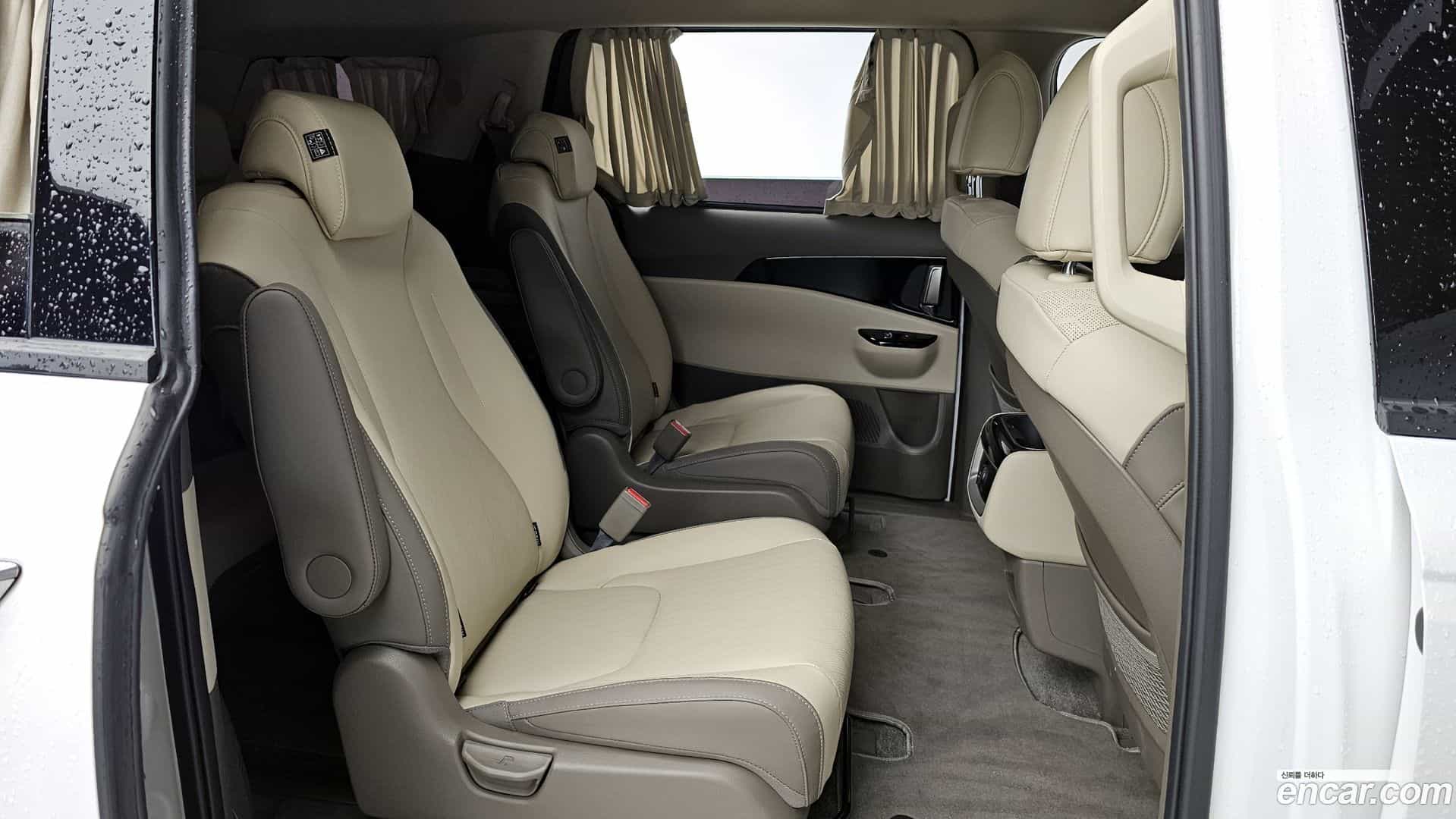 Canival Kia 2022.10-OPTION-016