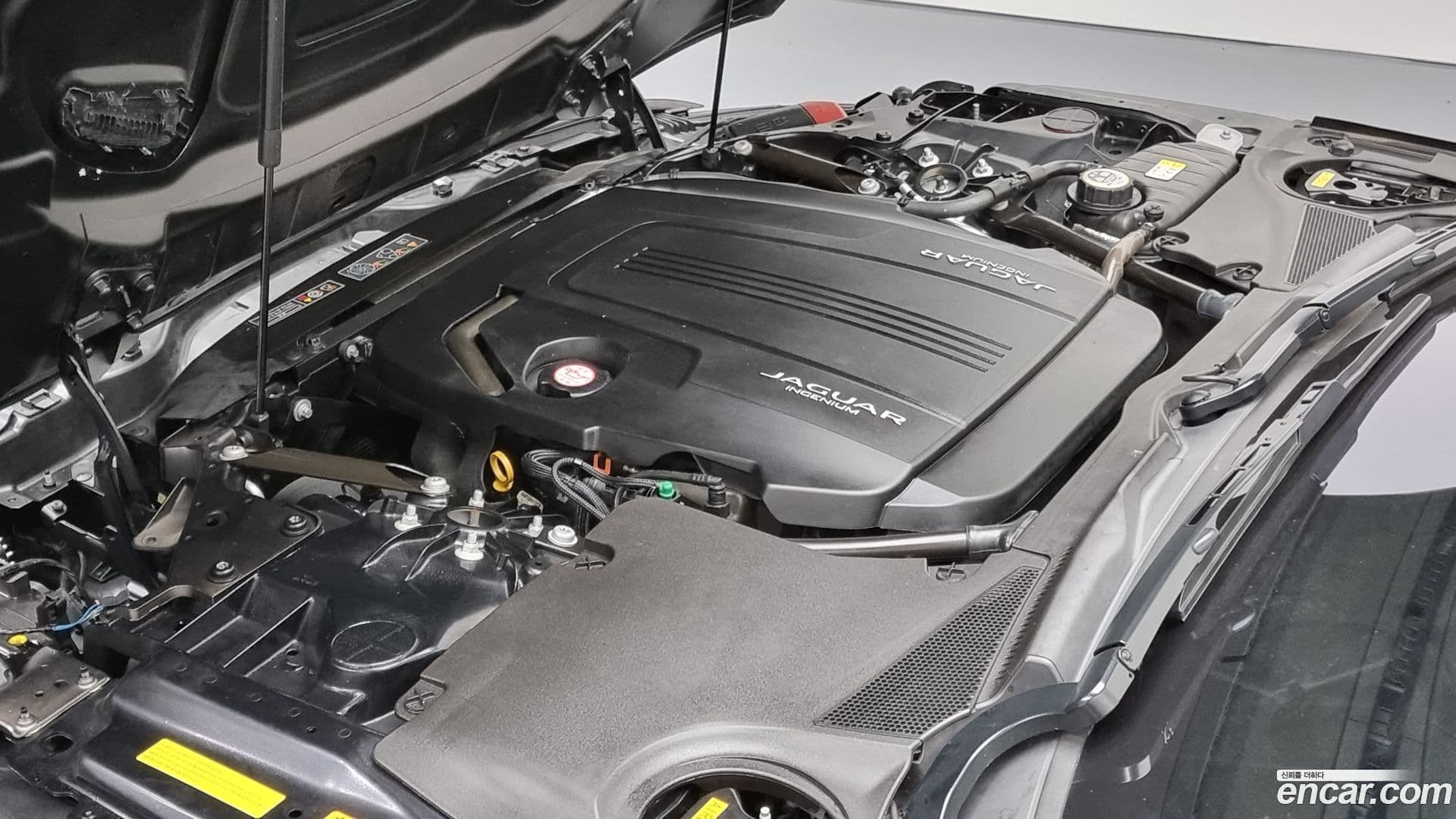 Main__Slider__Photo:F-TYPE Jaguar 2023.4-5