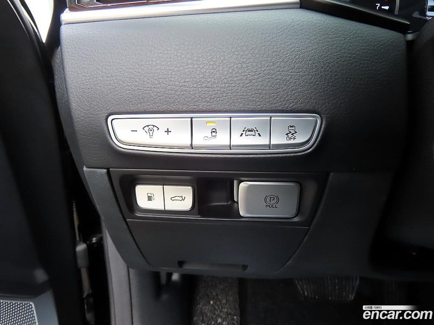 Main__Slider__Photo:K9 Kia 2019.3-13