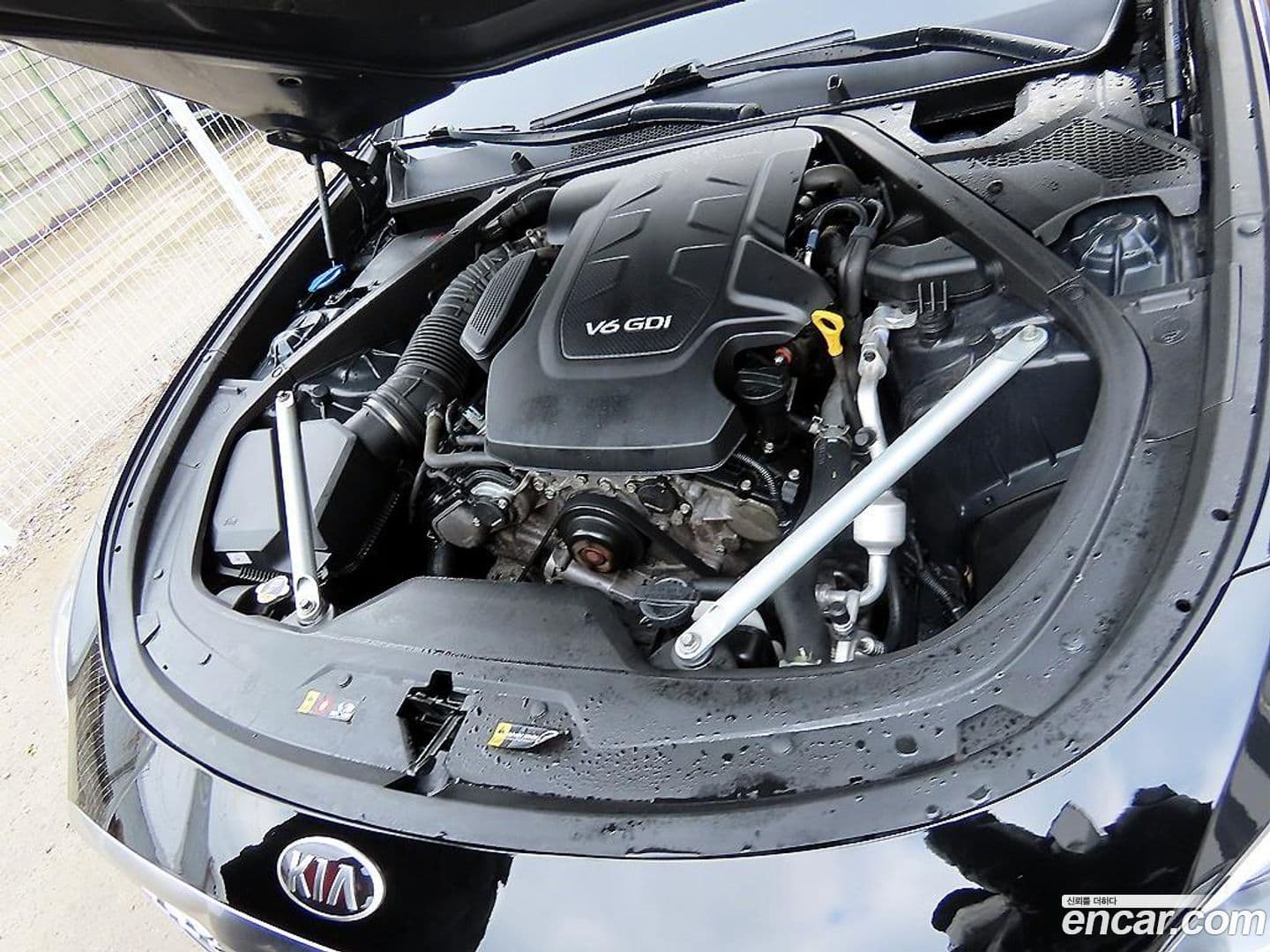 Main__Slider__Photo:K9 Kia 2019.3-19