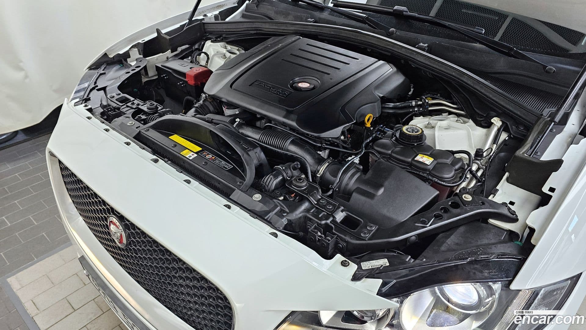 Main__Slider__Photo:F-PACE Jaguar 2017.3-5