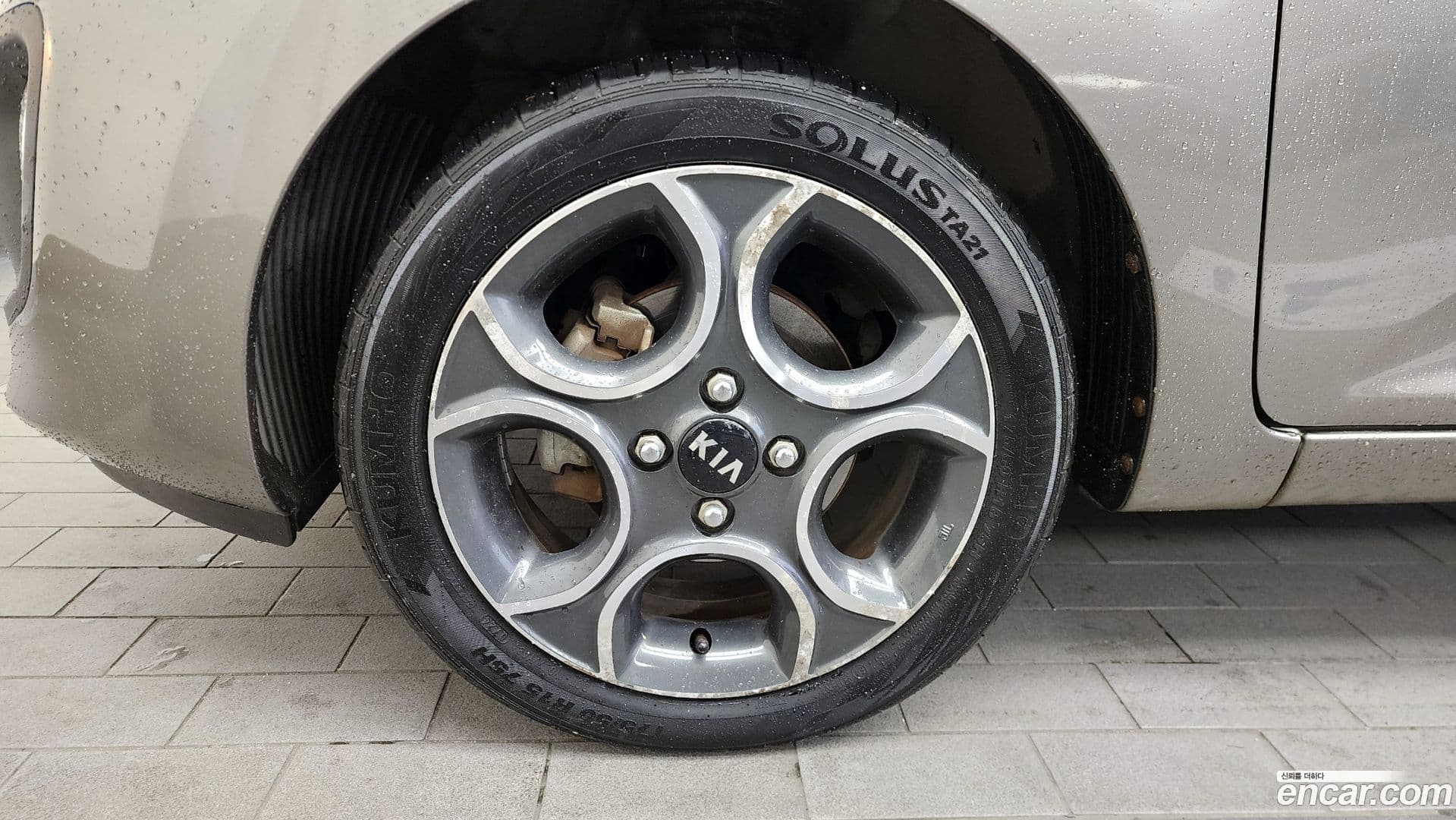 Main__Slider__Photo:morning Kia 2011.8-4