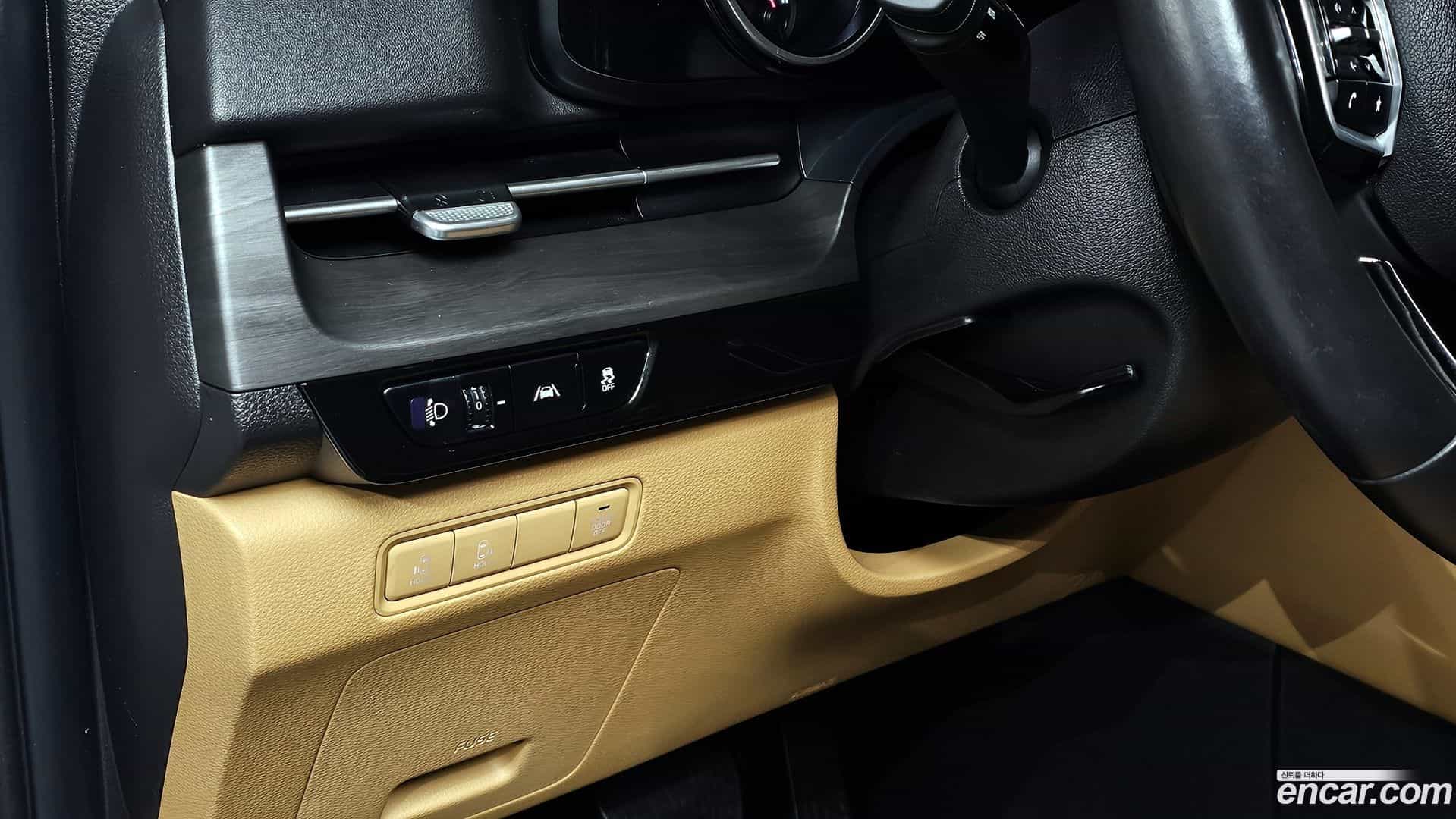 Canival Kia 2021.10-OPTION-021