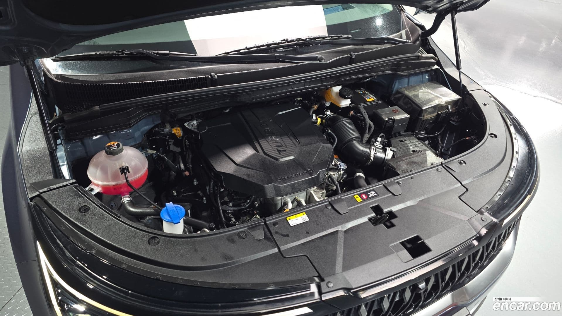 Main__Slider__Photo:Canival Kia 2024.1-5