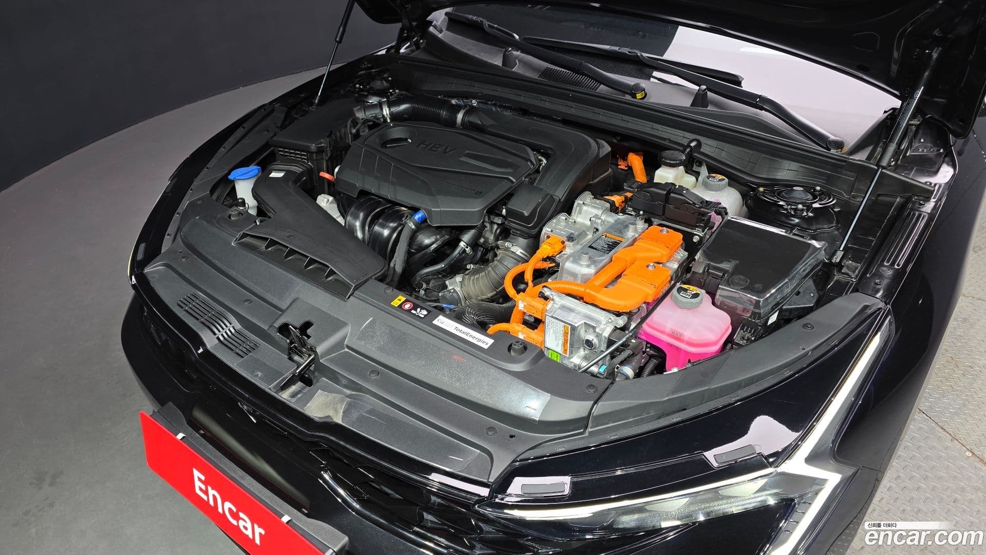 Main__Slider__Photo:K5 Kia 2025.7-5