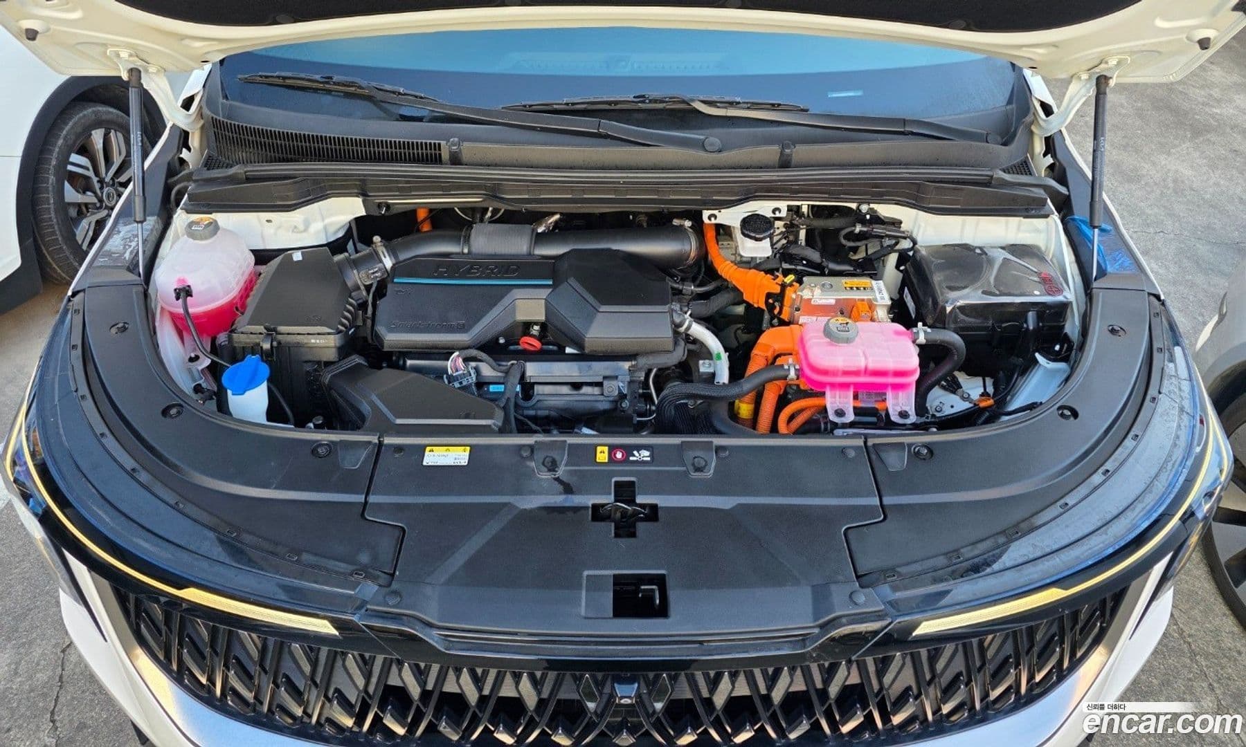 Main__Slider__Photo:Canival Kia 2024.1-6