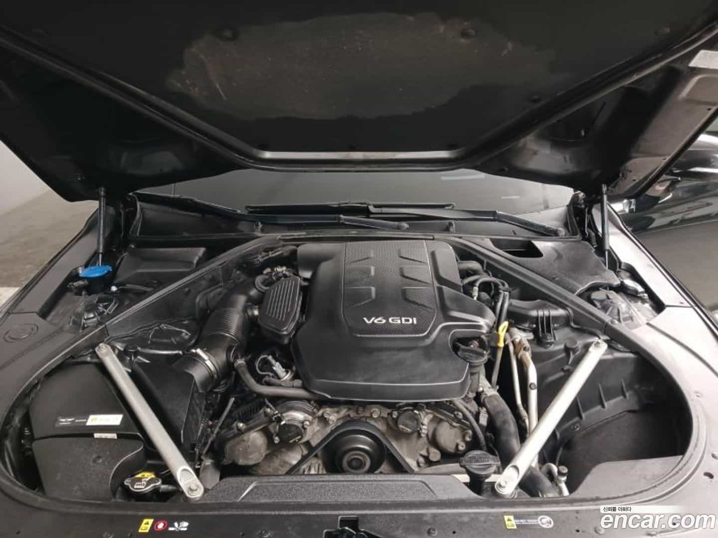 EQ900 Genesis 2016.8-OPTION-023