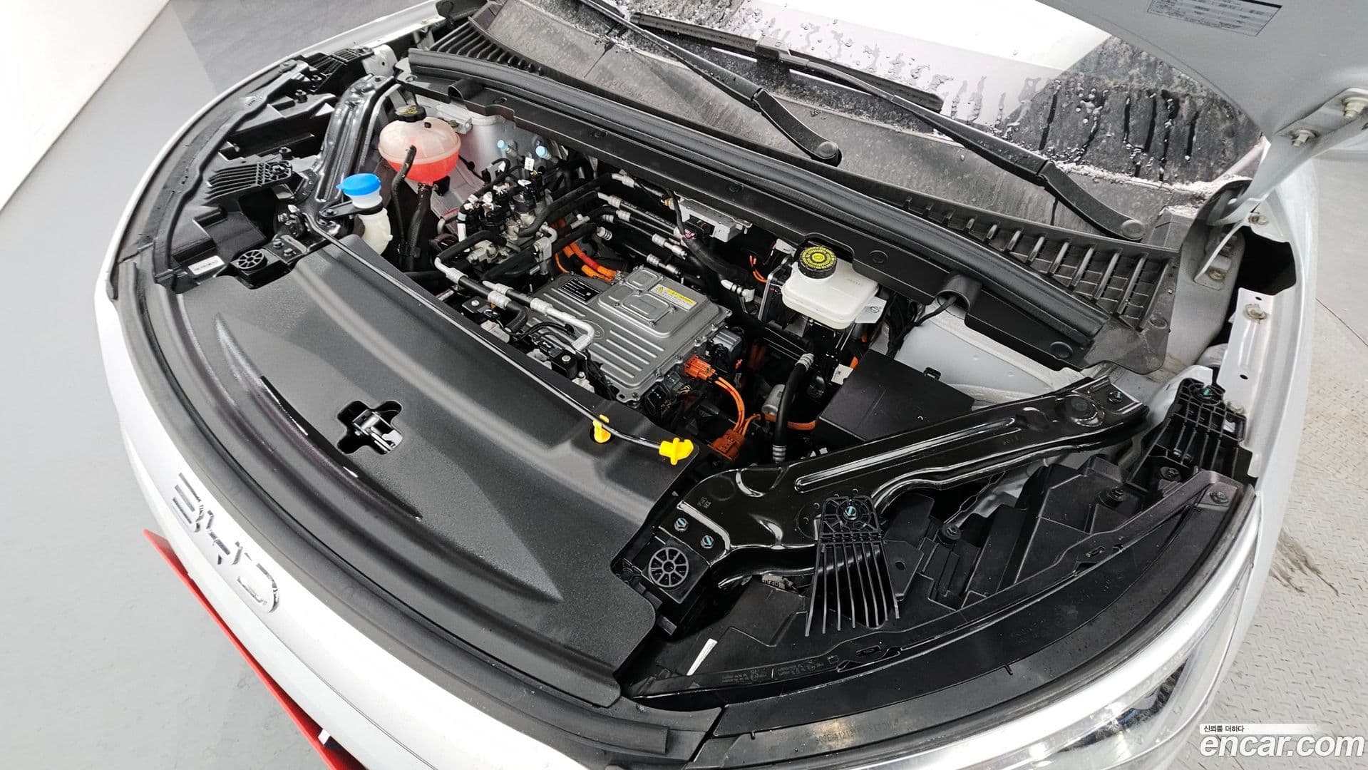 Main__Slider__Photo:Atto 3 BYD 2025.0-5