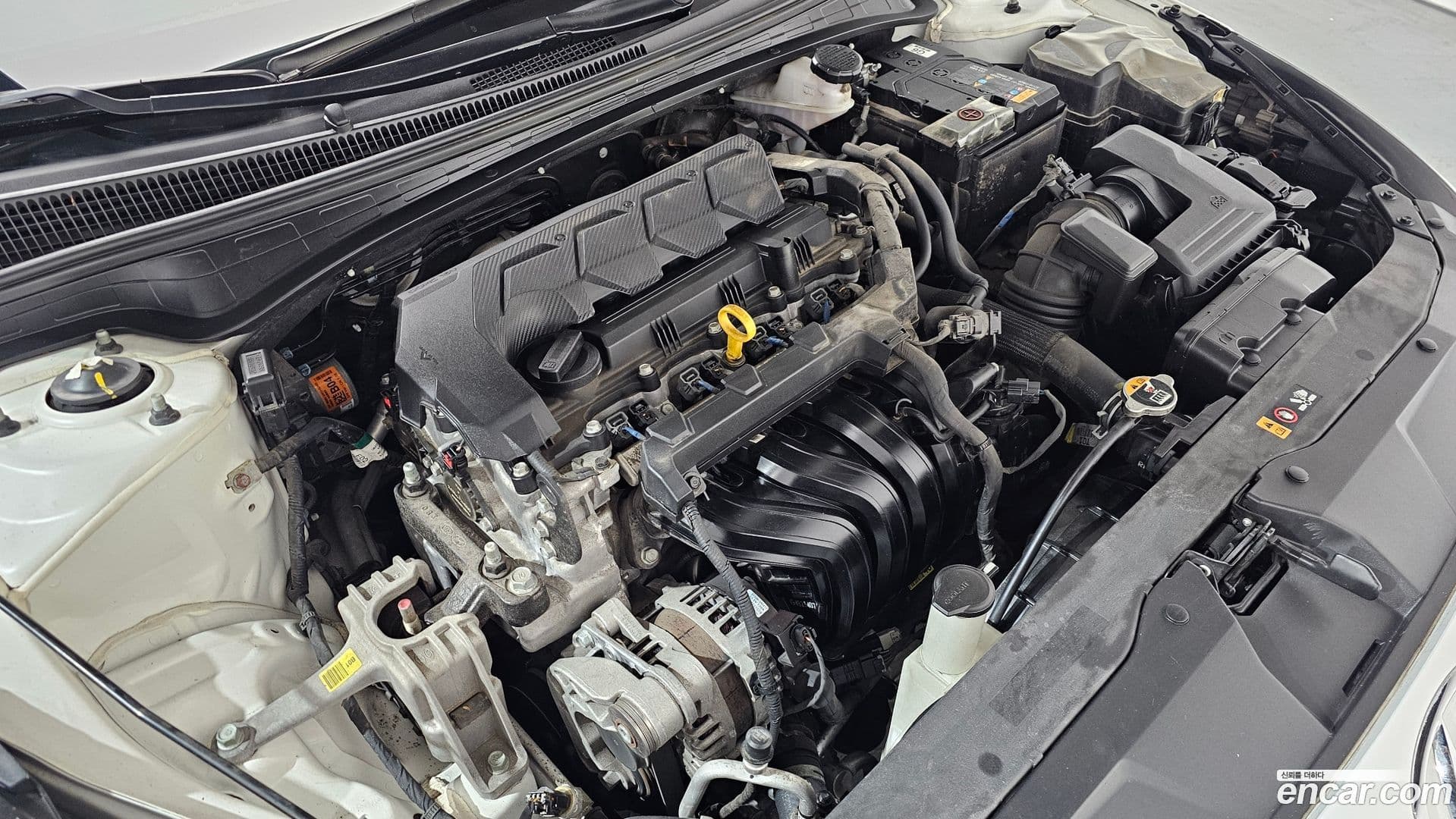 Main__Slider__Photo:AVANTE Hyundai 2022.3-5