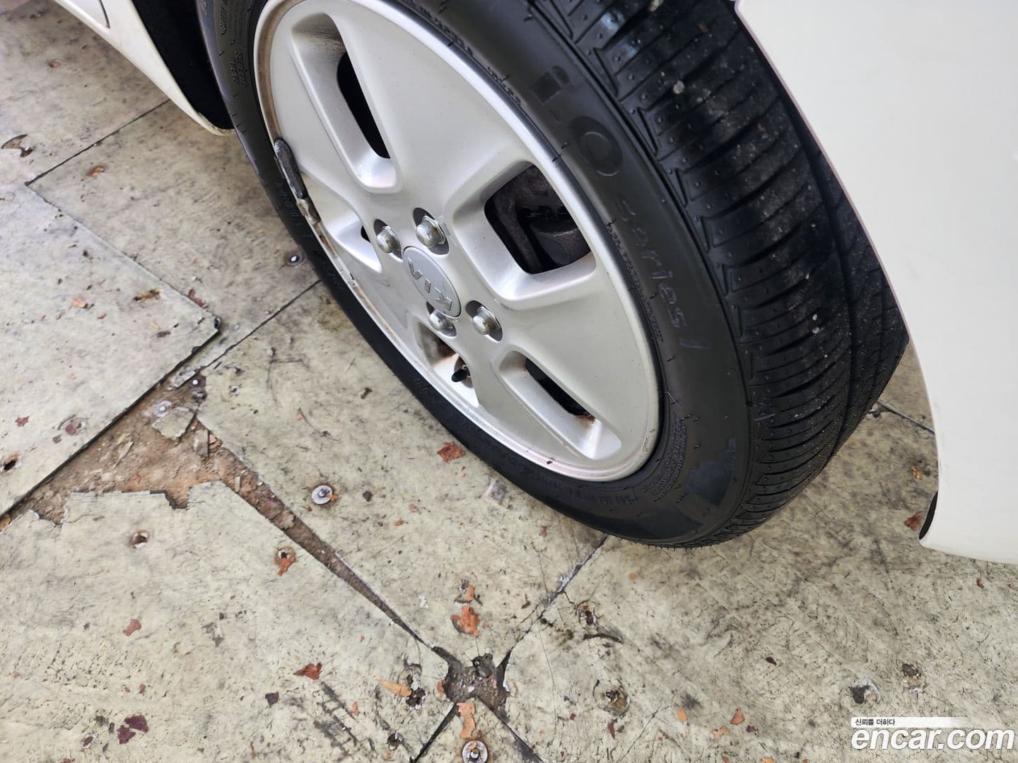 Main__Slider__Photo:RAY Kia 2017.11-6