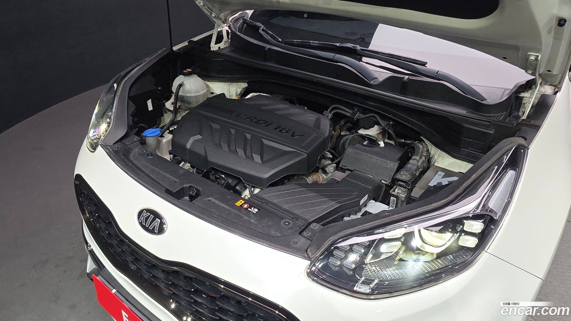 Main__Slider__Photo:Sportage Kia 2018.9-5