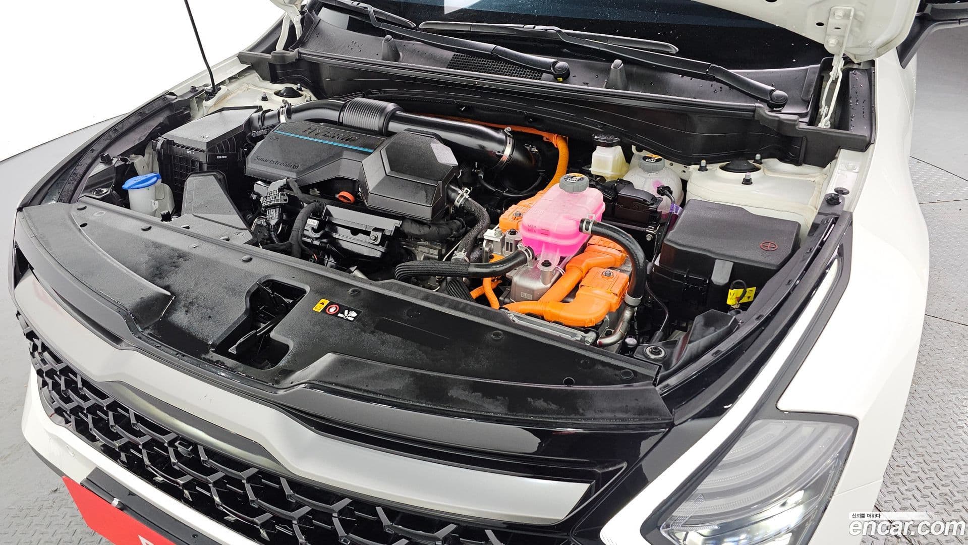 Main__Slider__Photo:Sportage Kia 2022.7-5