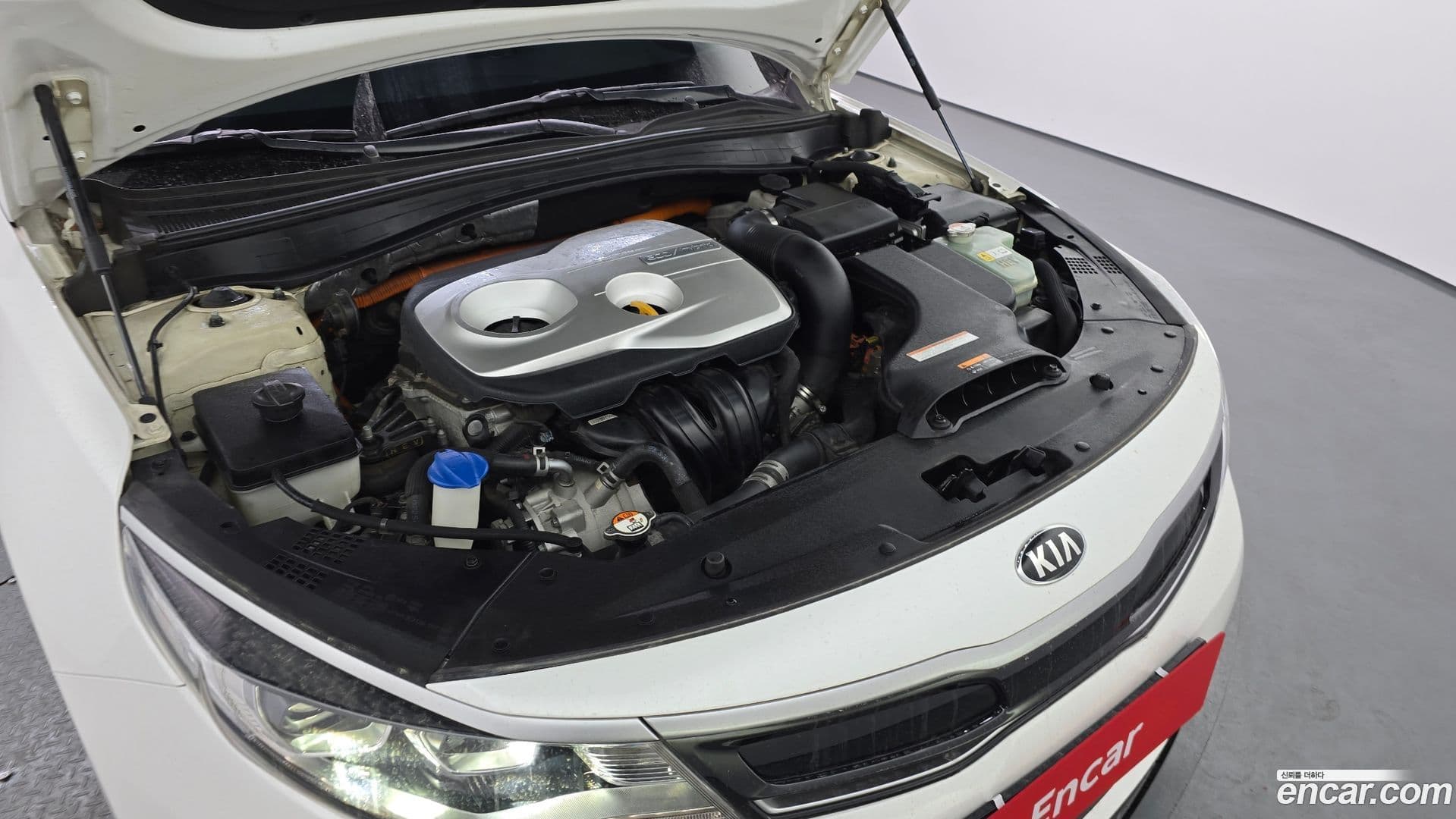 Main__Slider__Photo:K5 Kia 2016.9-5