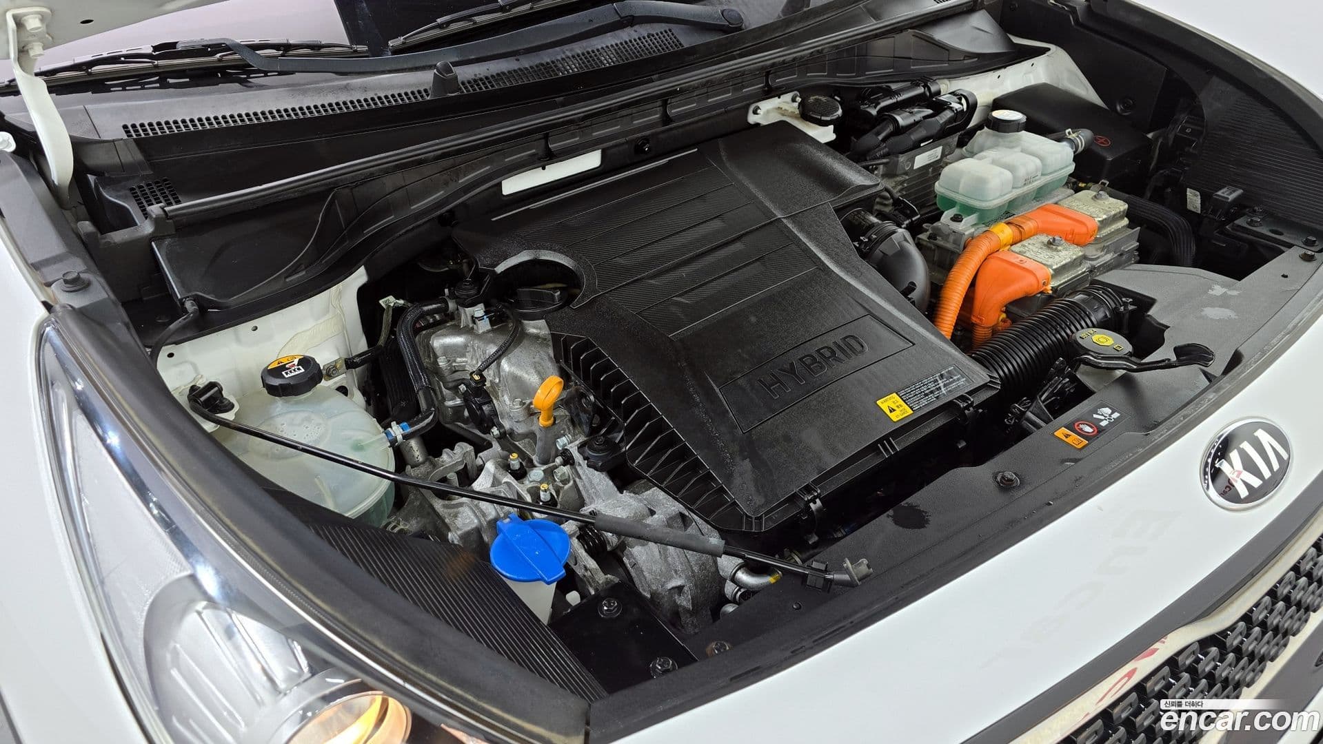 Main__Slider__Photo:Niro Kia 2018.11-5