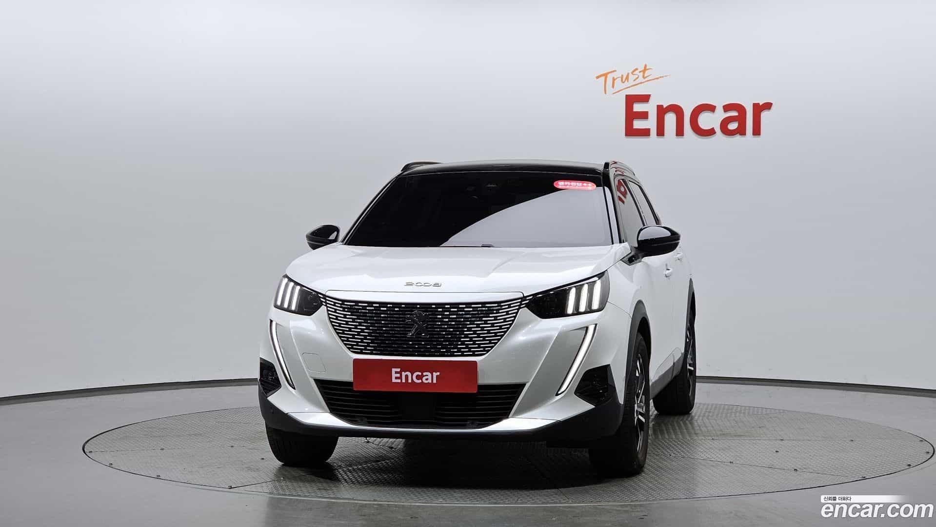 2008 Peugeot 2020.8-OUTER-003