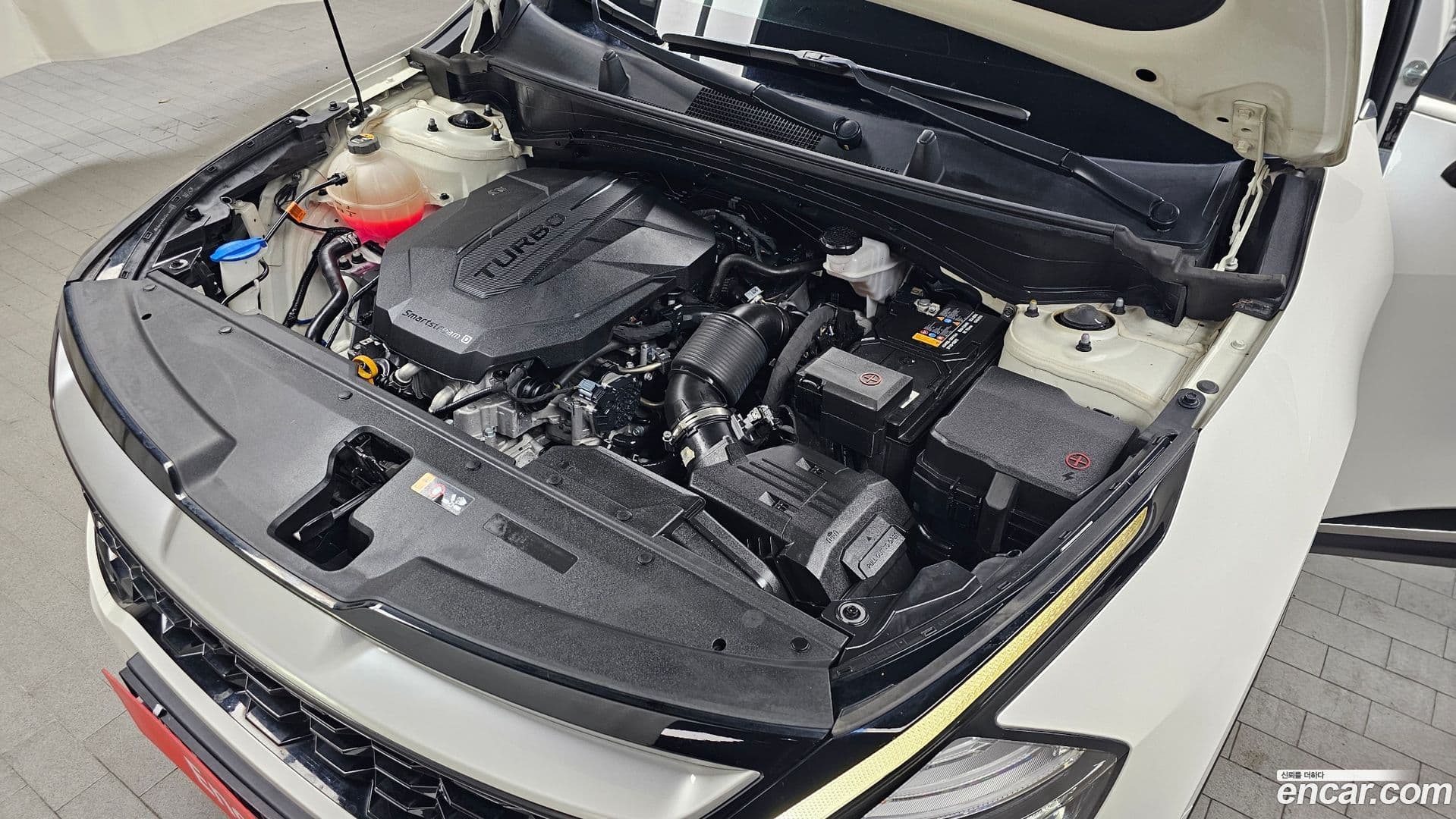 Main__Slider__Photo:Sportage Kia 2022.0-5