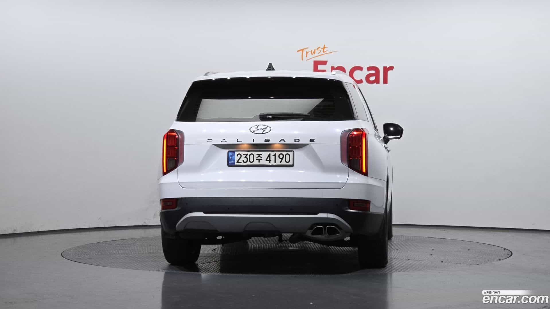 Palisade Hyundai 2021.6-OUTER-004