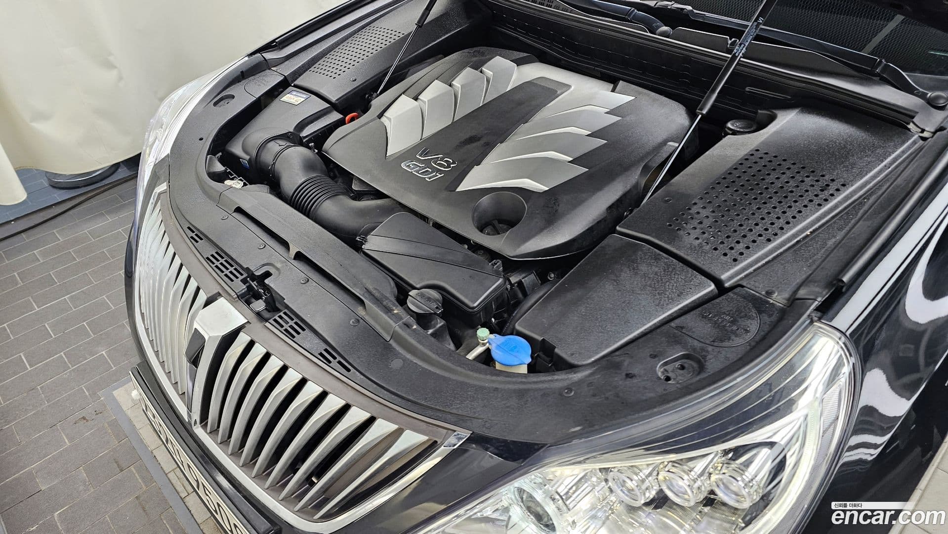 Main__Slider__Photo:Equus Hyundai 2014.10-5