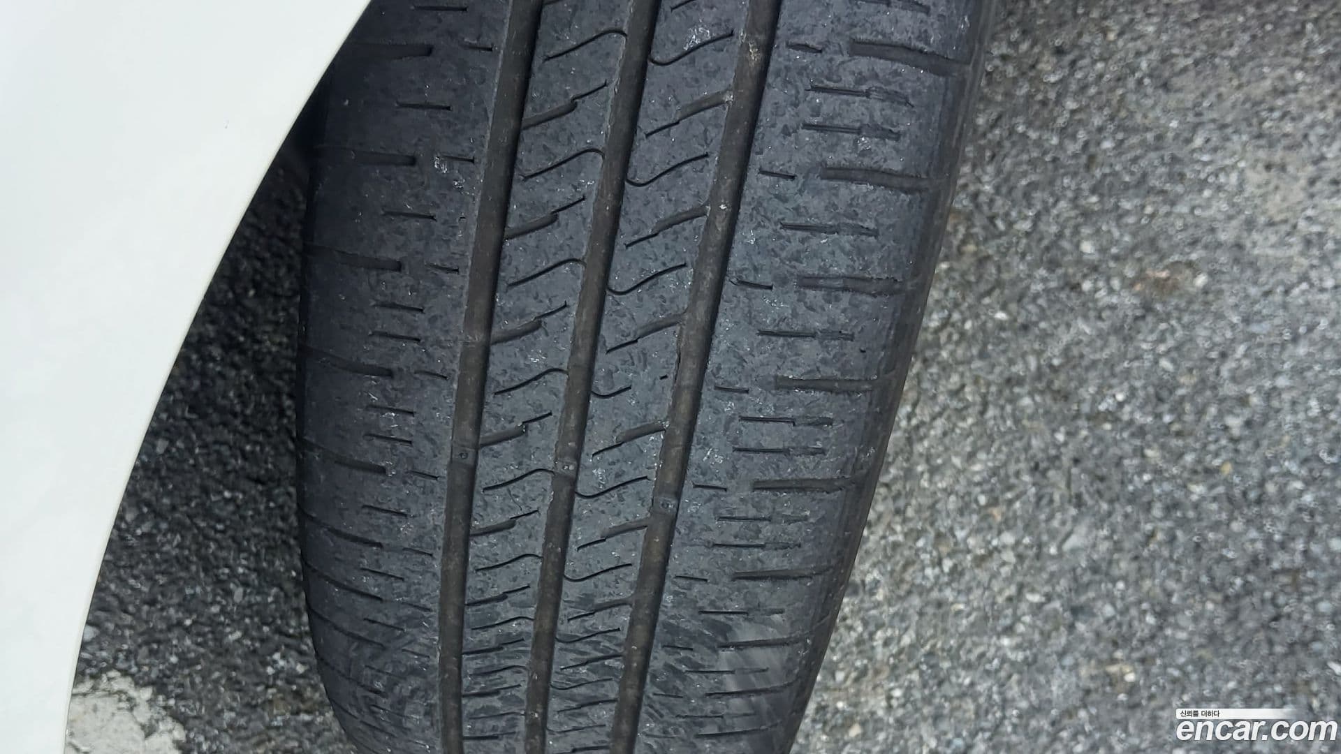 Main__Slider__Photo:RAY Kia 2022.4-12