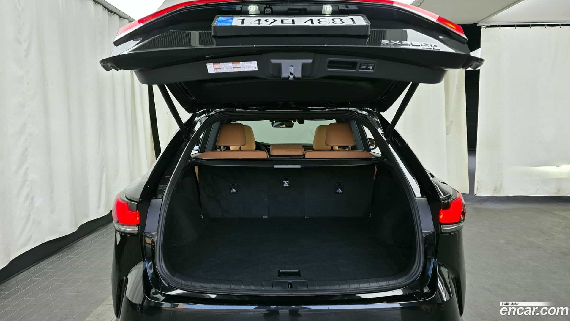 RX Lexus 2025.7-OPTION-024