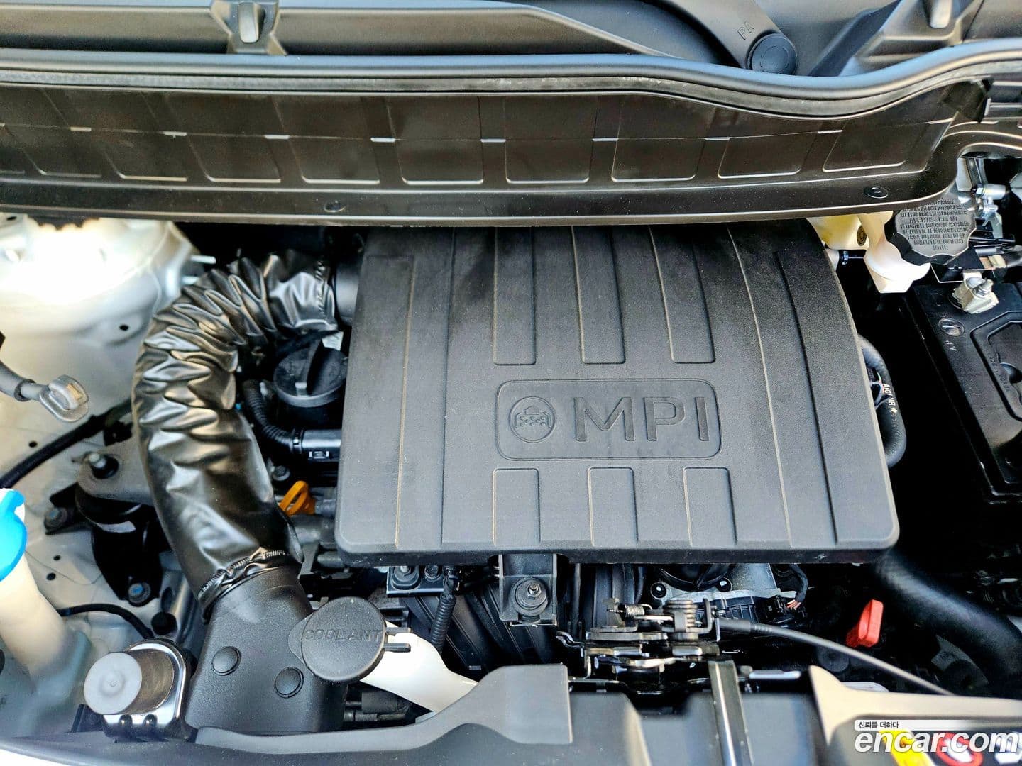 Main__Slider__Photo:RAY Kia 2021.9-5