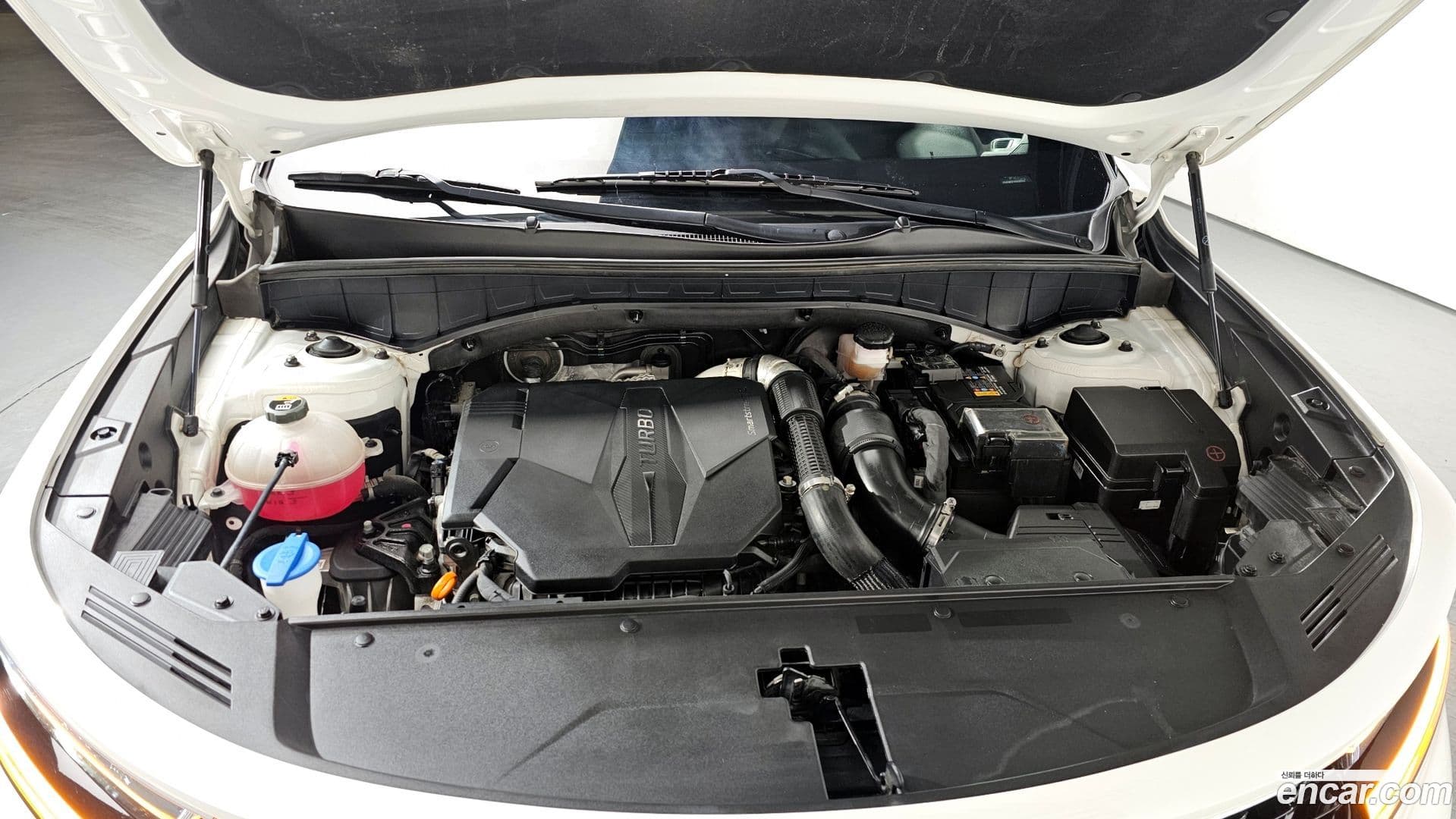 Main__Slider__Photo:Sorento Kia 2022.10-5