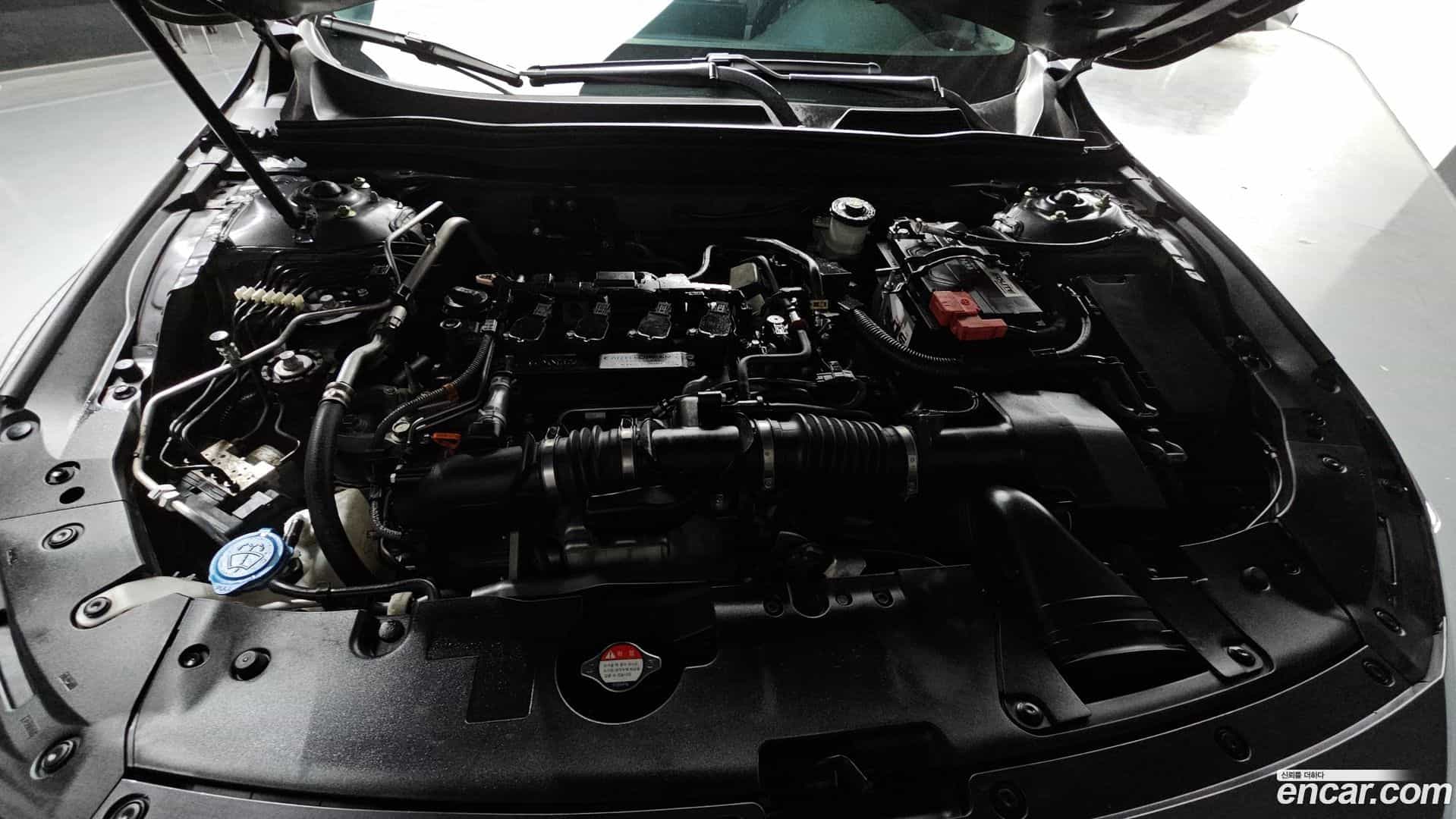 Accord Honda 2019.4-INNER-006