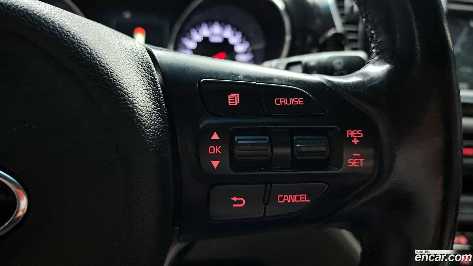 Canival Kia 2016.9-OPTION-023