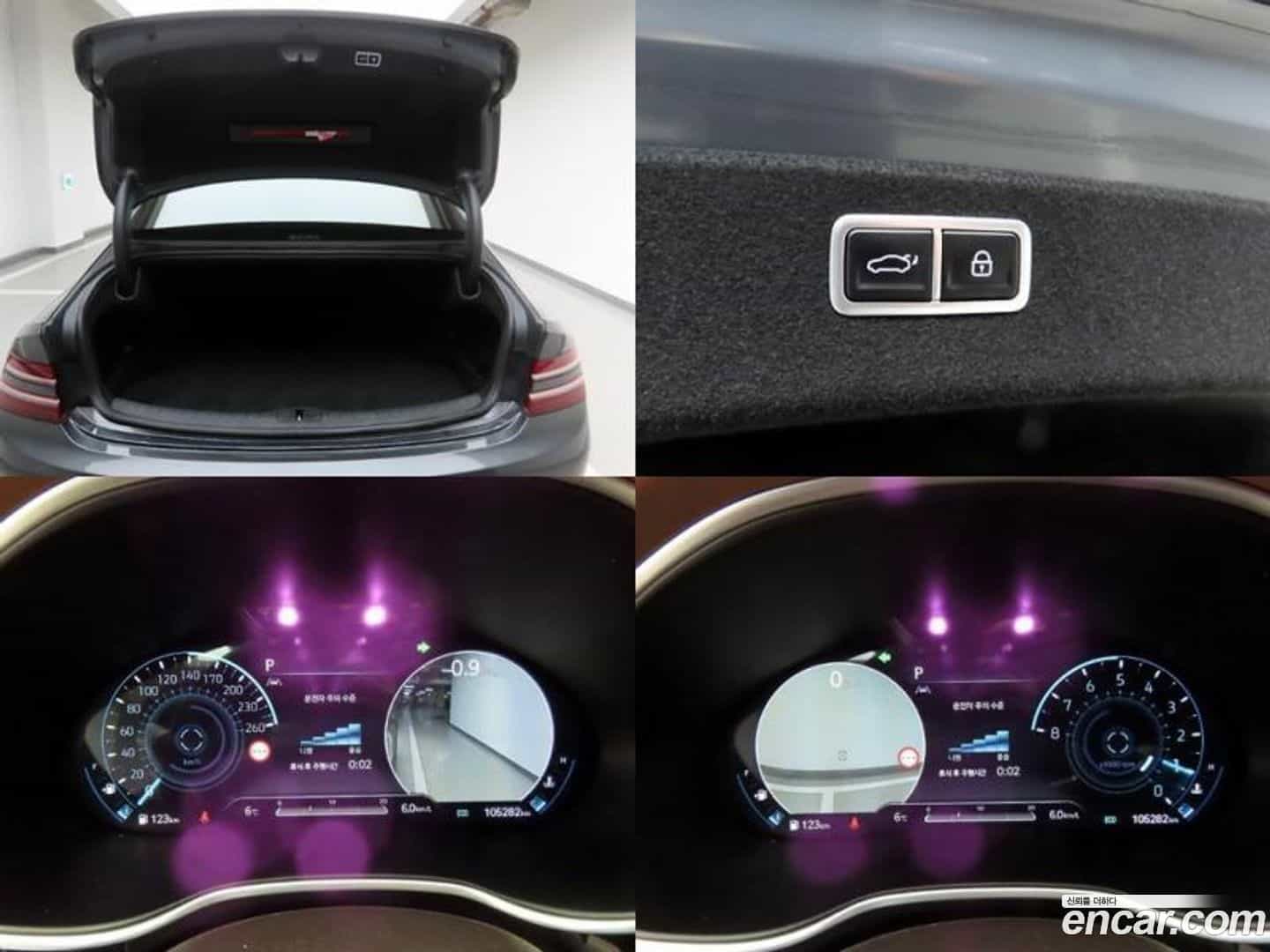 G80 Genesis 2021.6-OPTION-022