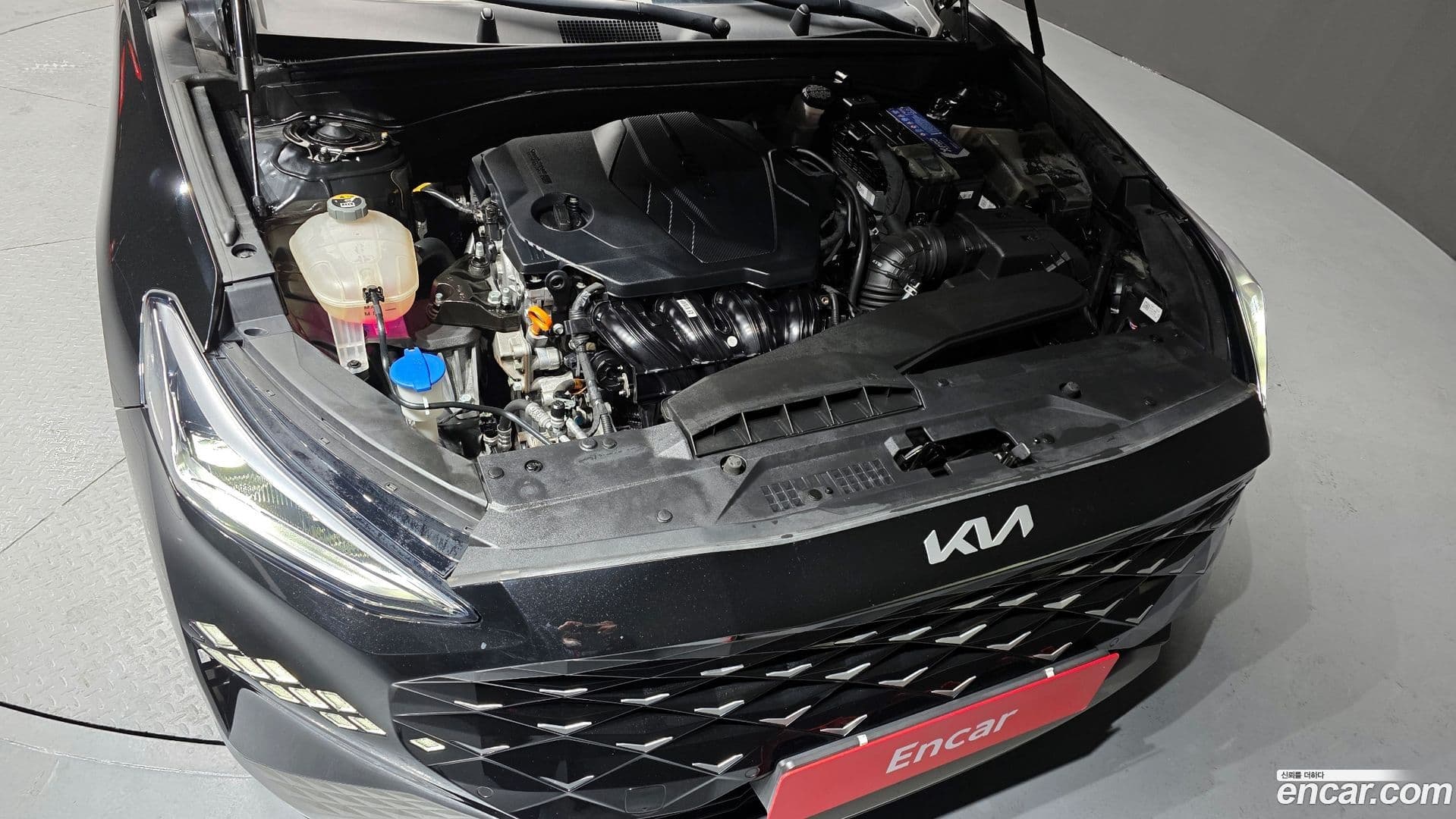 Main__Slider__Photo:K8 Kia 2021.11-5