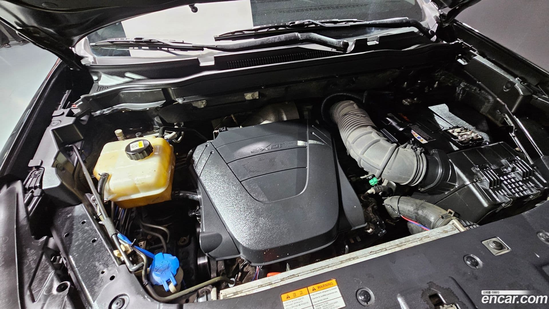 Main__Slider__Photo:KORANDO KG_Mobility_Ssangyong 2017.1-5