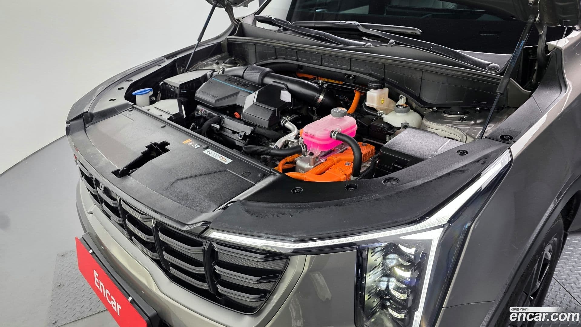 Main__Slider__Photo:Sorento Kia 2024.0-5