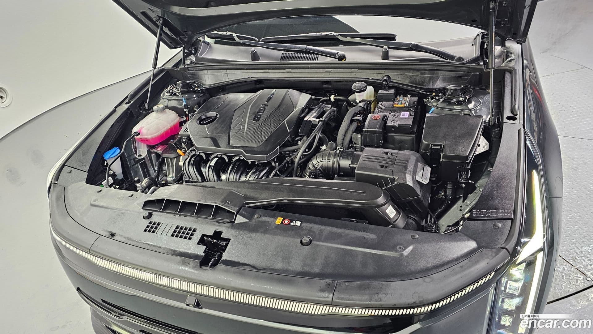 Main__Slider__Photo:K8 Kia 2024.9-5