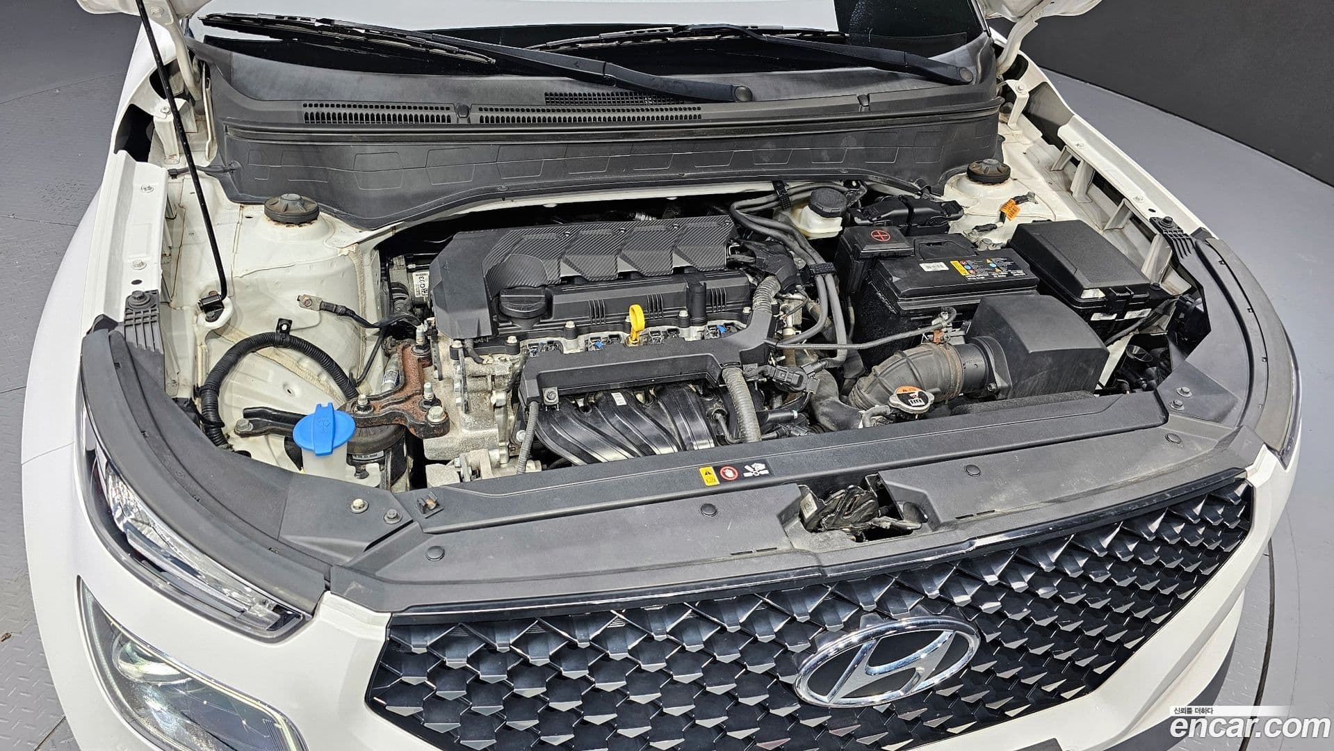 Main__Slider__Photo:Venue Hyundai 2019.8-5