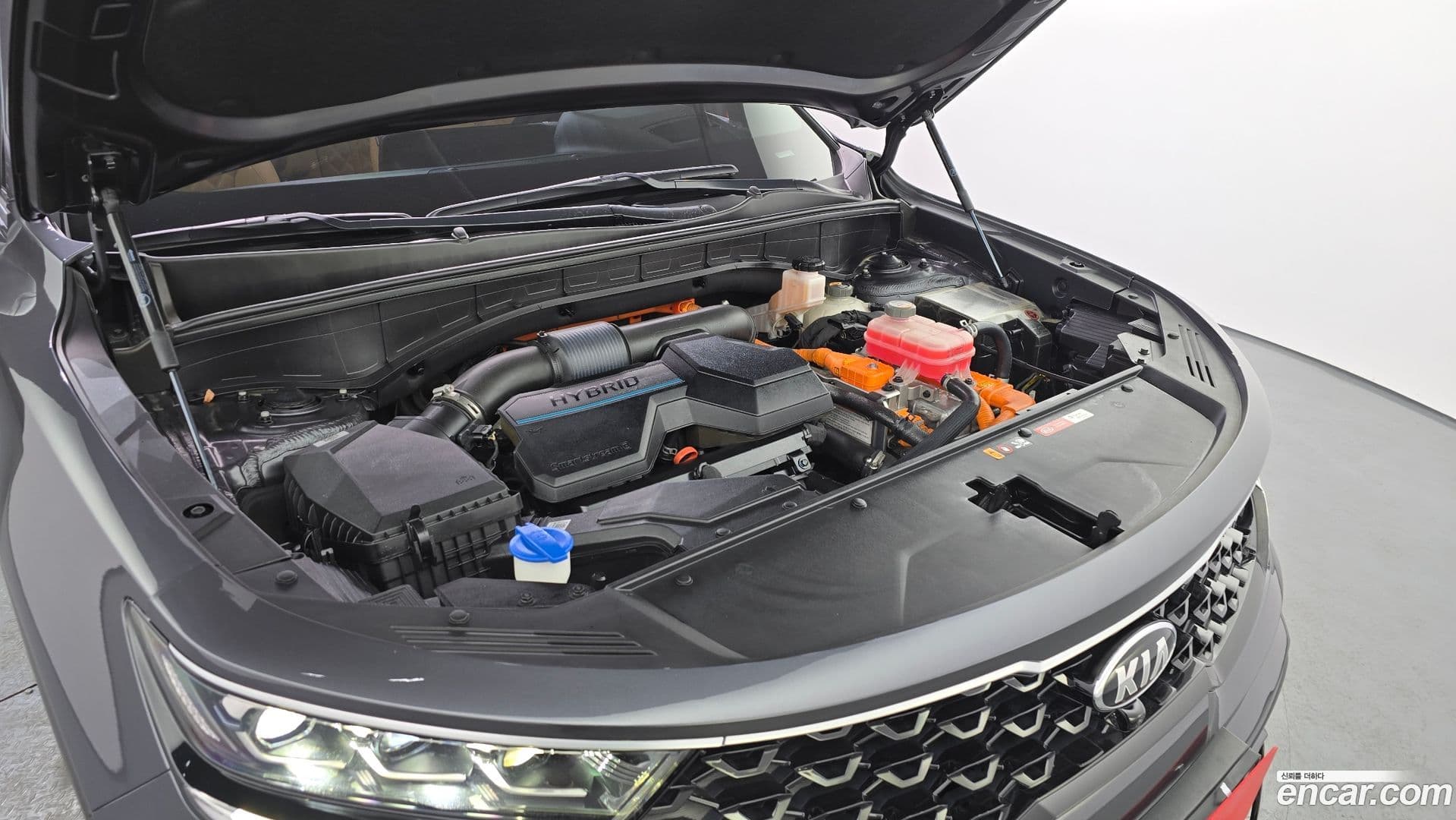 Main__Slider__Photo:Sorento Kia 2020.2-5