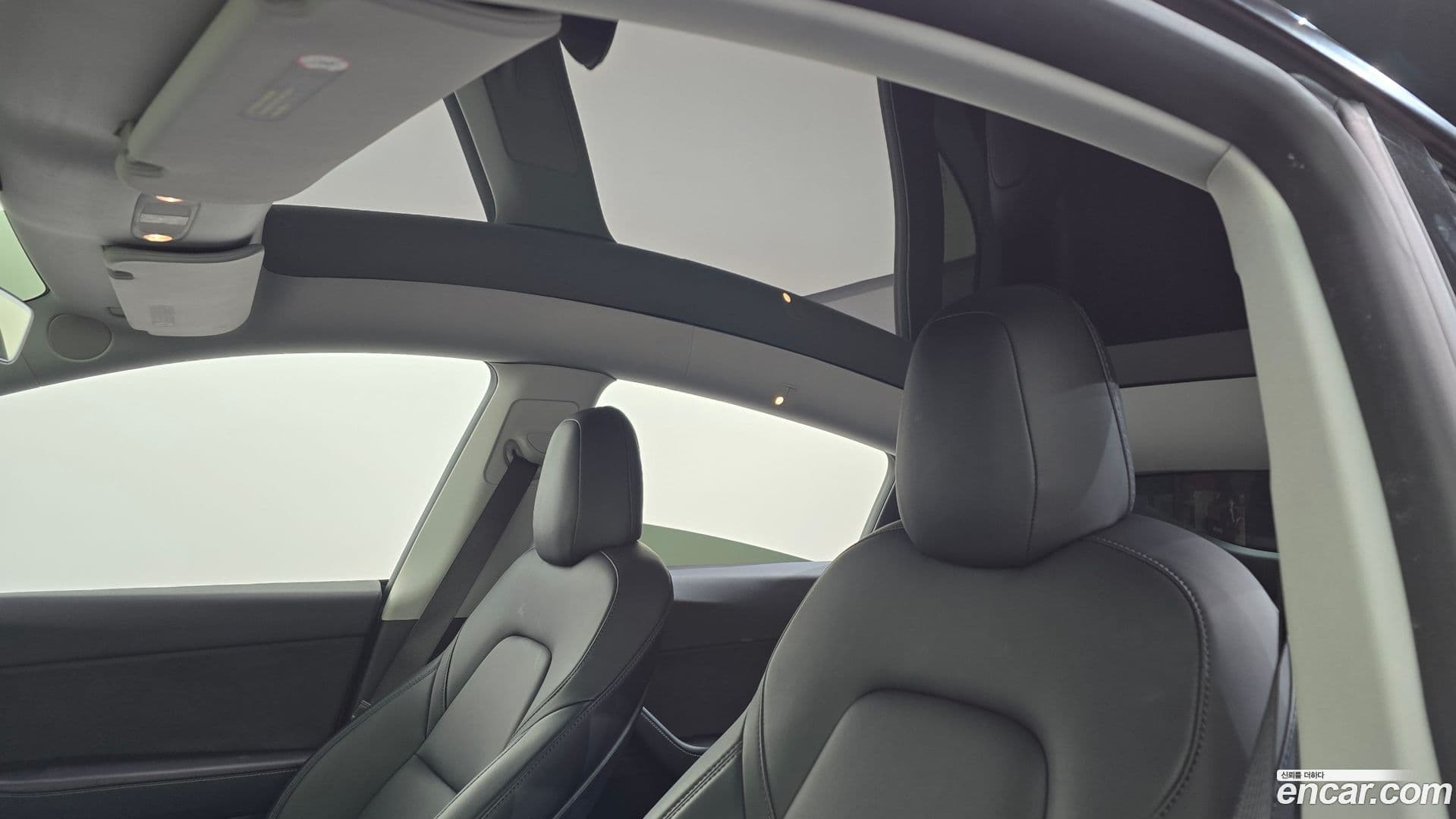 Main__Slider__Photo:Model Y Tesla 2021.4-18