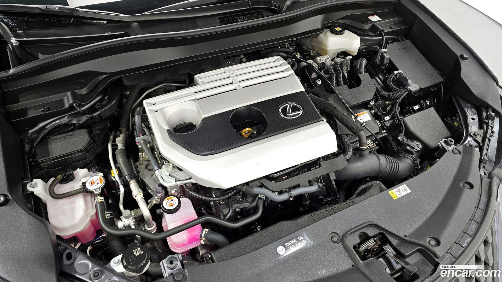 Main__Slider__Photo:UX Lexus 2023.3-5